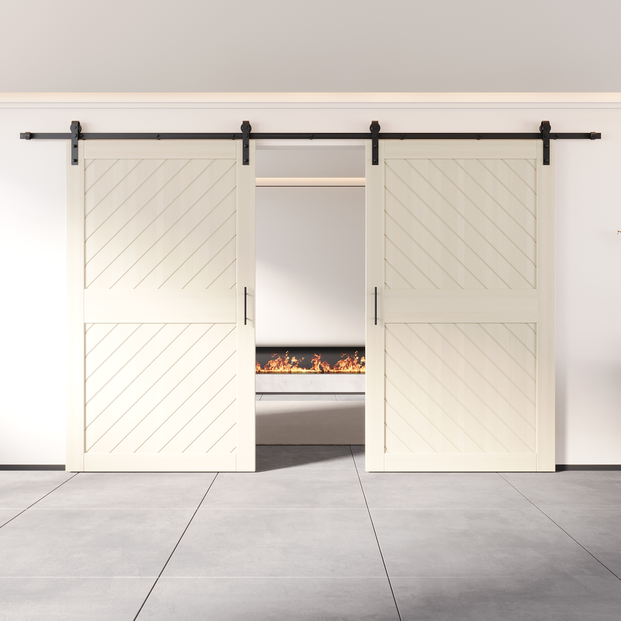 HOMACER YT2H216C-XT1-5084-TG Barn-Doors - View #8