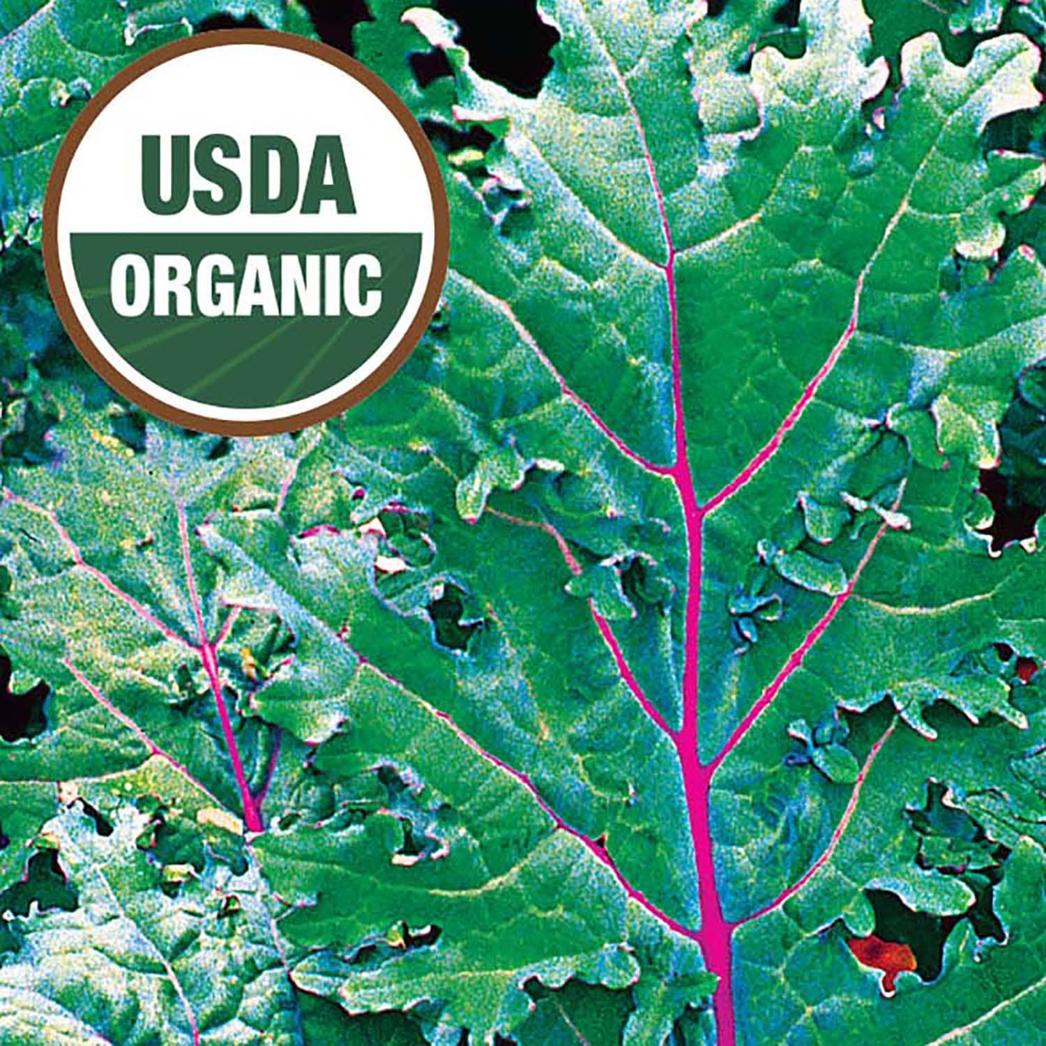Ferry-Morse 643852.299.0823 Vegetable-Herb-Seeds - View #3