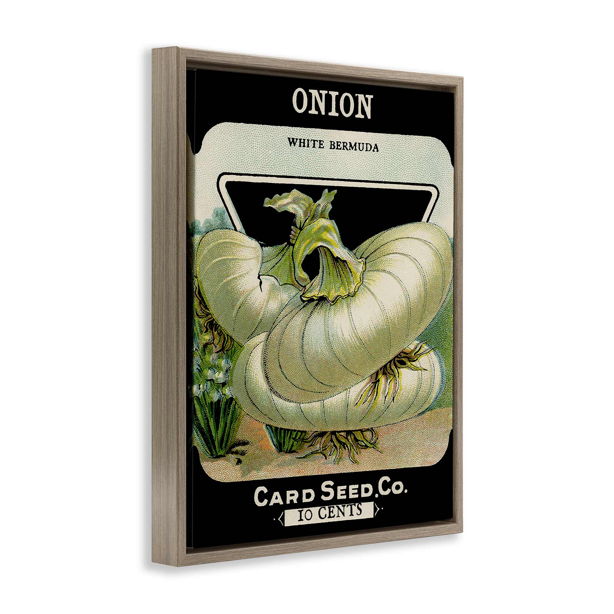 Stupell Industries BT-063-FFE-16X20 Wall-Art - View #2