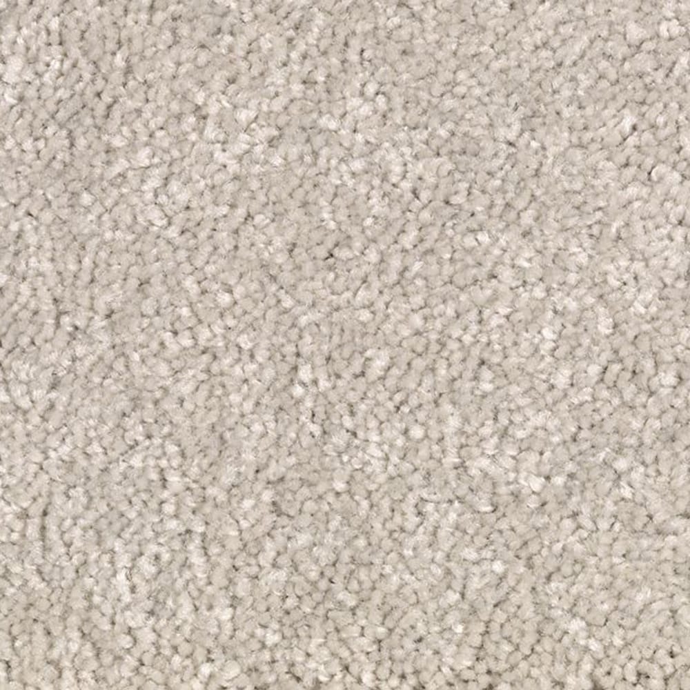 STAINMASTER STP34-12-L001 Uptown trend I Cosmopolitan Brown 38-oz sq yard Polyester Textured Indoor Carpet