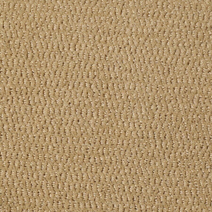 STAINMASTER 7L43500223 Active Family Wine and Dine Midas Touch Berber/Loop Interior Carpet