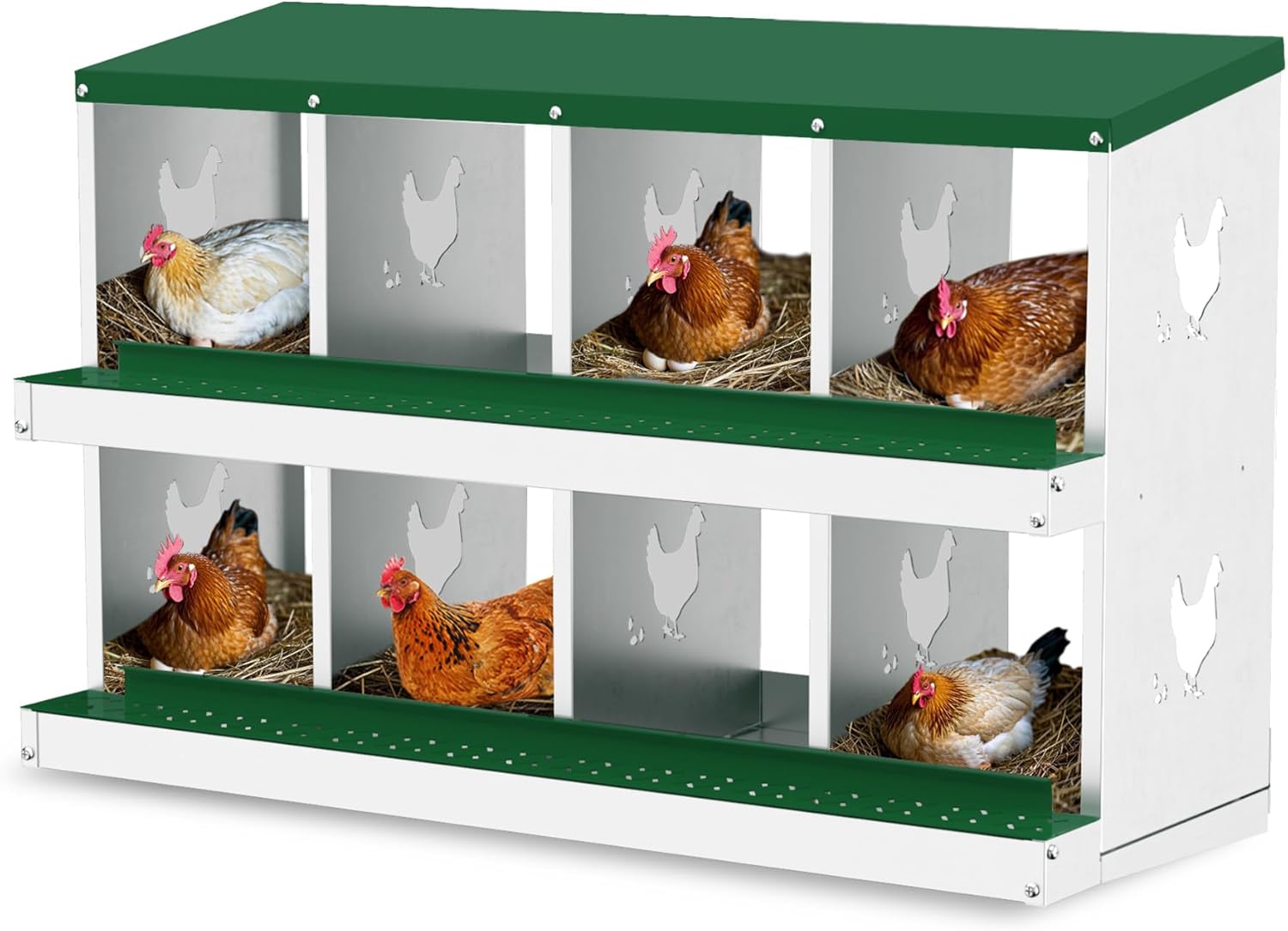 Qeetex GGL-PHO-348STS3V 8-Hole Green Chicken Nesting Box  Chicken Nesting Box with Legs  Metal Chickens Laying Boxes with Perch  Metal Roll Away Eggs Laying Boxes  Versatile Wall Mount for Chickens