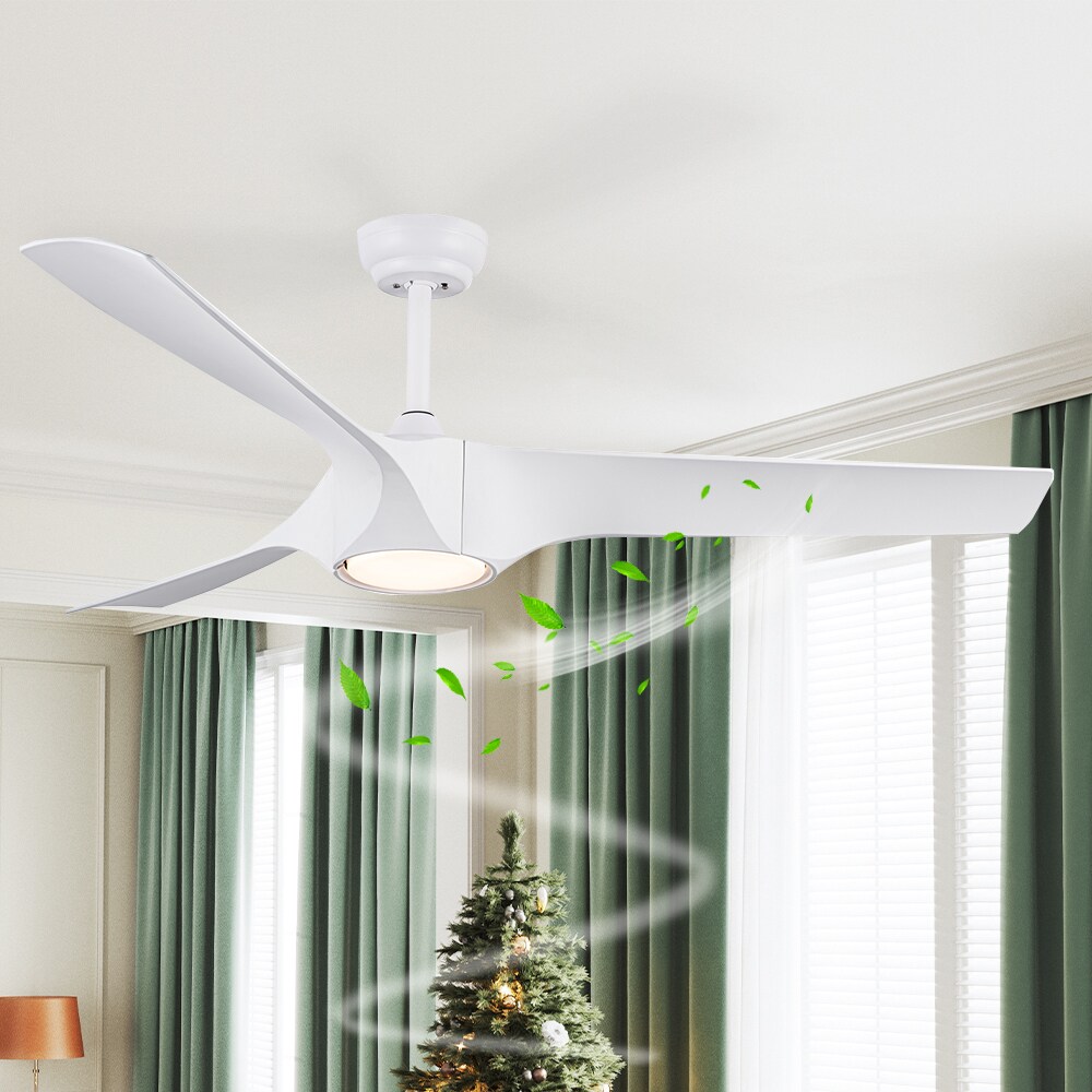 Sunrinx MG37-1-CF-24 Ceiling-Fans - View #11