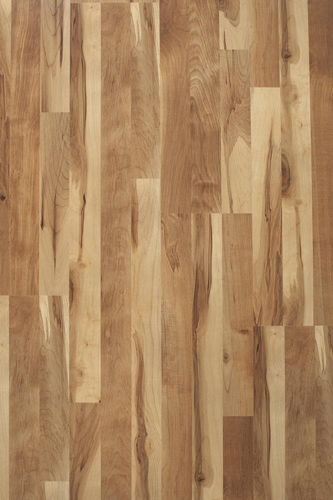 Style Selections Natural Maple 8-mm Thick Wood Plank Laminate Flooring  Sample in the Laminate Samples department at Lowes.com