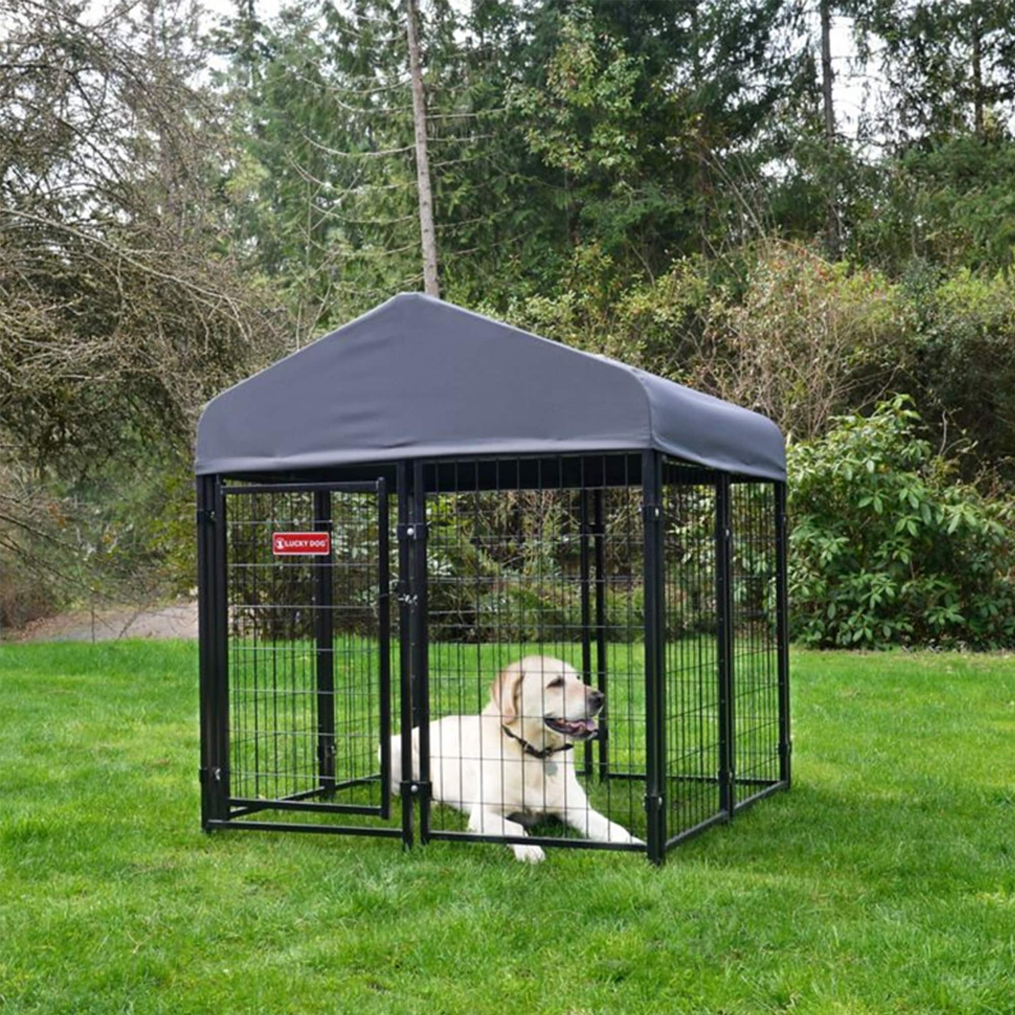 Lucky Dog Medium 26 40 lb Wire and Fabric Dog Kennel with Roof Outdoor 4 ft L x 4 ft W x 4.3 ft H 265242 at Lowes