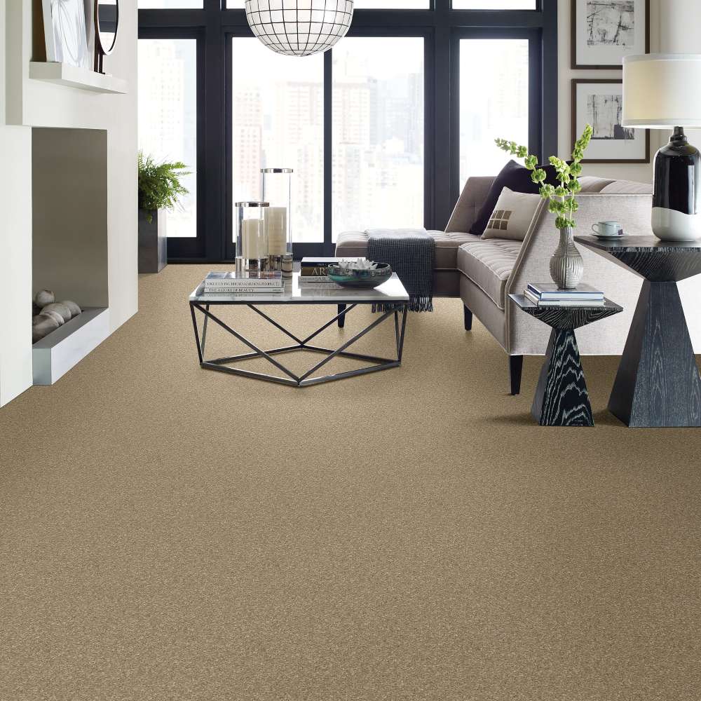 STAINMASTER 7L790-721-SAMP Carpet-Samples - View #3