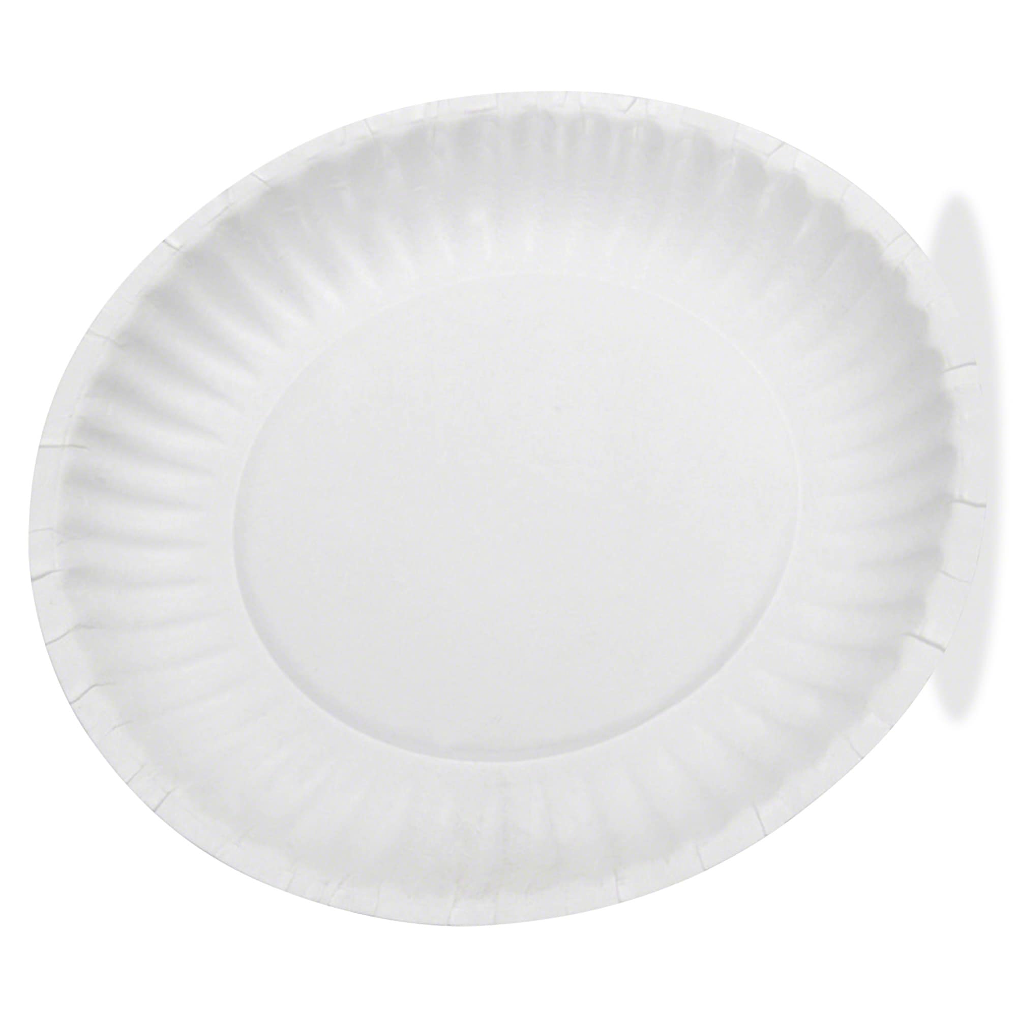 Dixie 1000Pack White Paper Disposable Dinner Plates in the Disposable