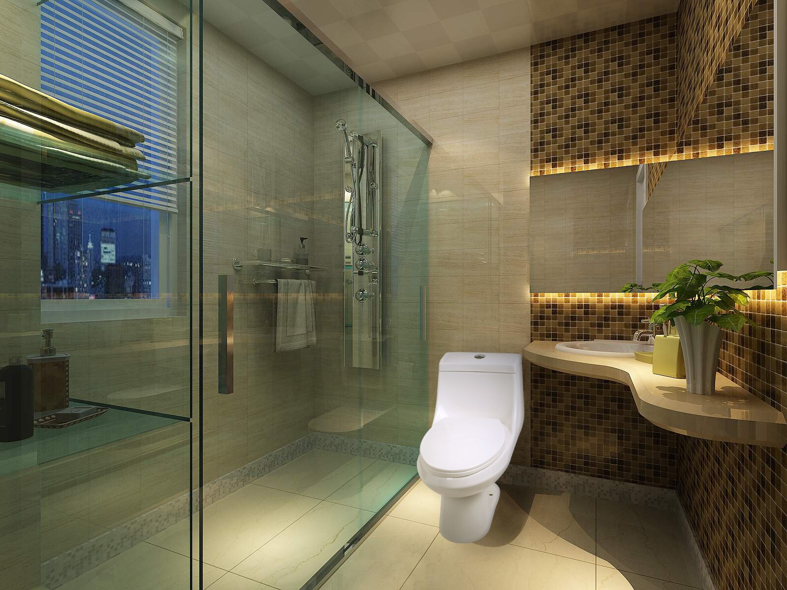ANZZI T1-AZ056 toilets - View #8