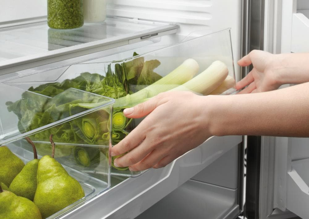 Fisher & Paykel RF170BLPUX6 N Bottom-Freezer-Refrigerators - View #6