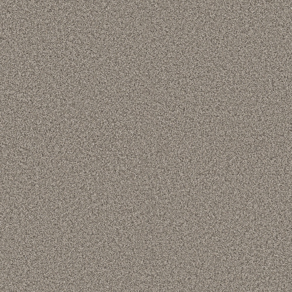 STAINMASTER PetProtect 7L965-126-SAMP (Sample) 8-in x 8-in with LeakDefense Pet Parade I Prairie Run Gray 43.9-oz sq yard High-performance polyester Textured Indoor Carpet