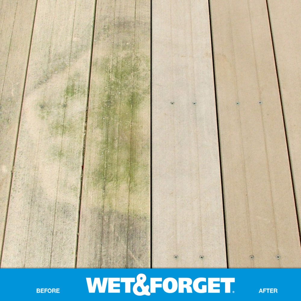 Wet & Forget 1 Gal. Liquid Concentrate Moss, Mold, Mildew, & Algae Stain  Remover, 1Gal. - Kroger