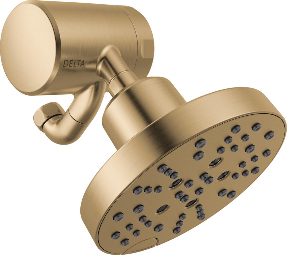 Delta   Clarifi Premium Gold Champagne Bronze Shower Filter with 5-setting Round Raincan Shower Head