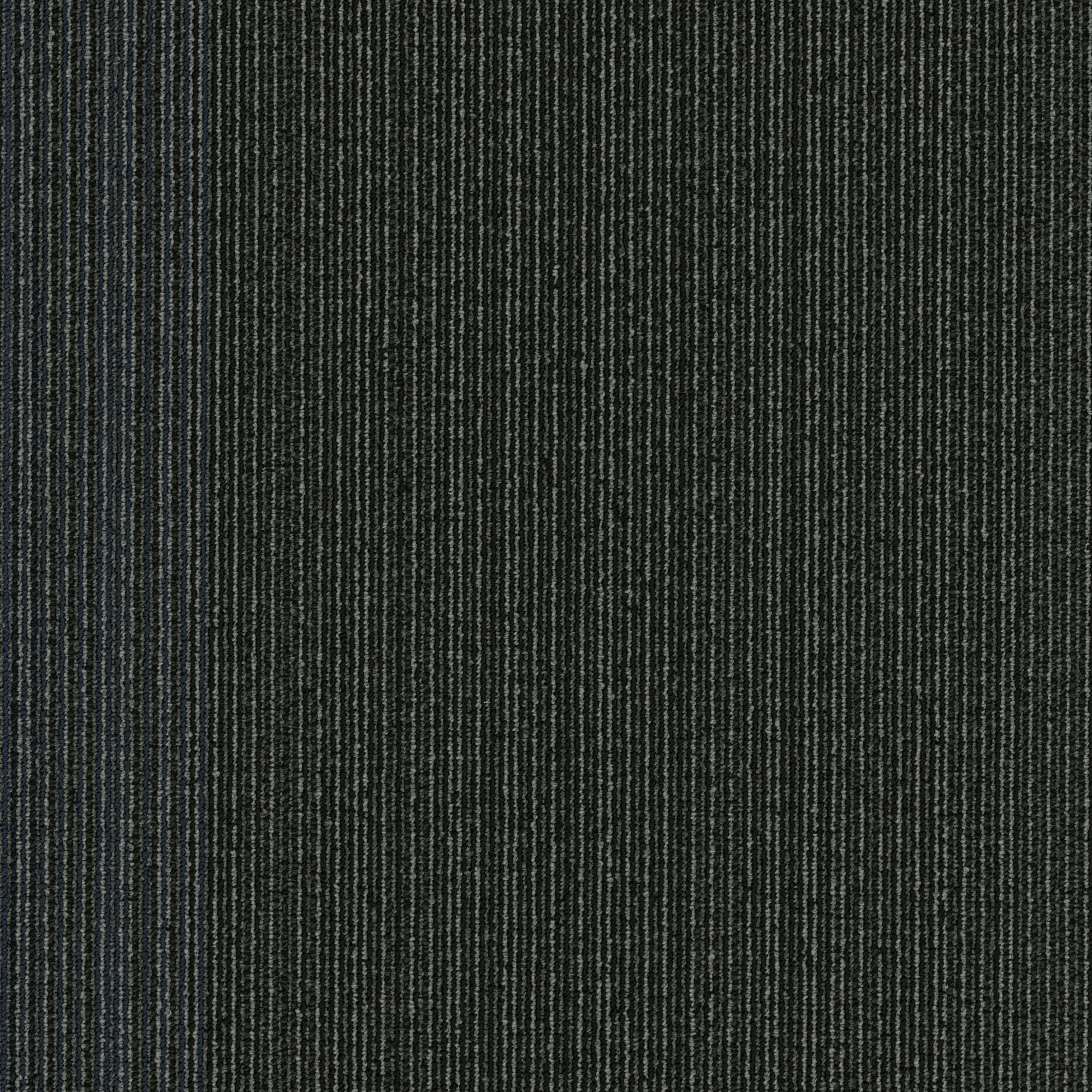 Shaw 7P0UW00405 Carpet-Tile - View #10