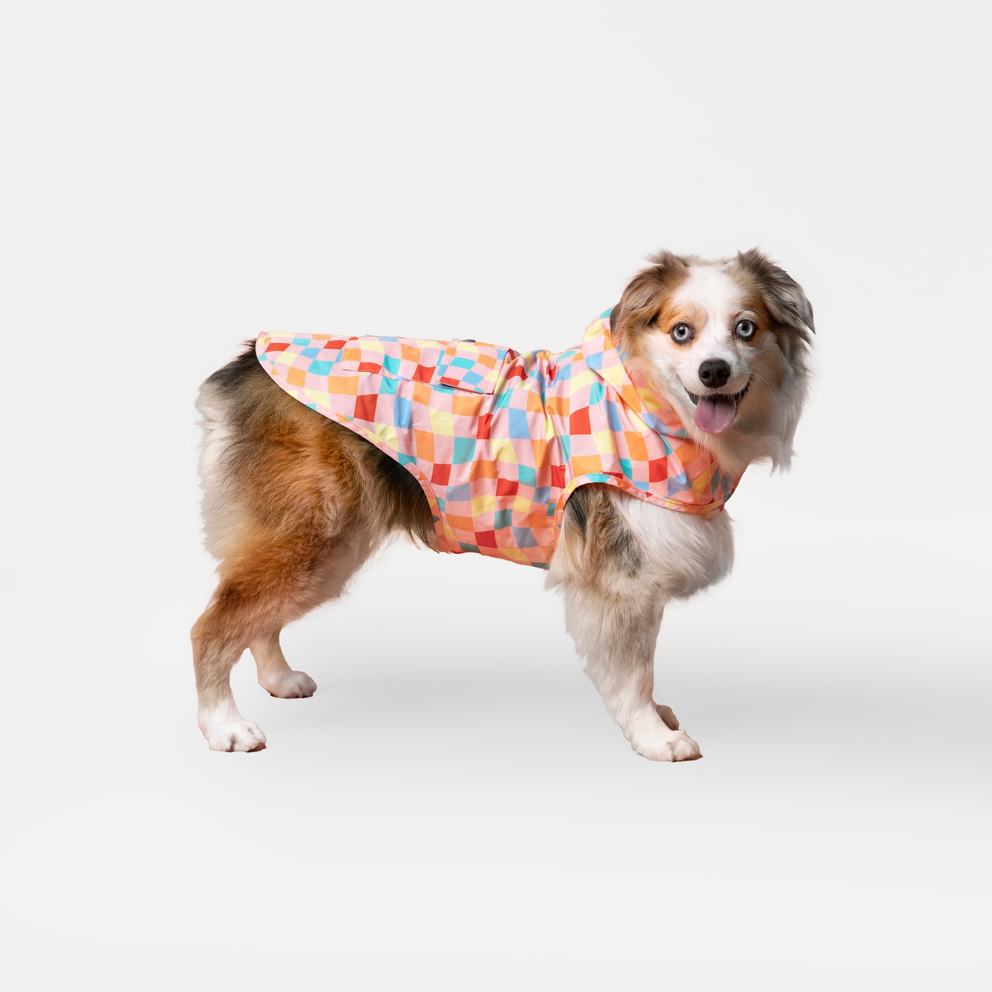 Canada Pooch 13380 Dog-Clothing-Acc - View #2