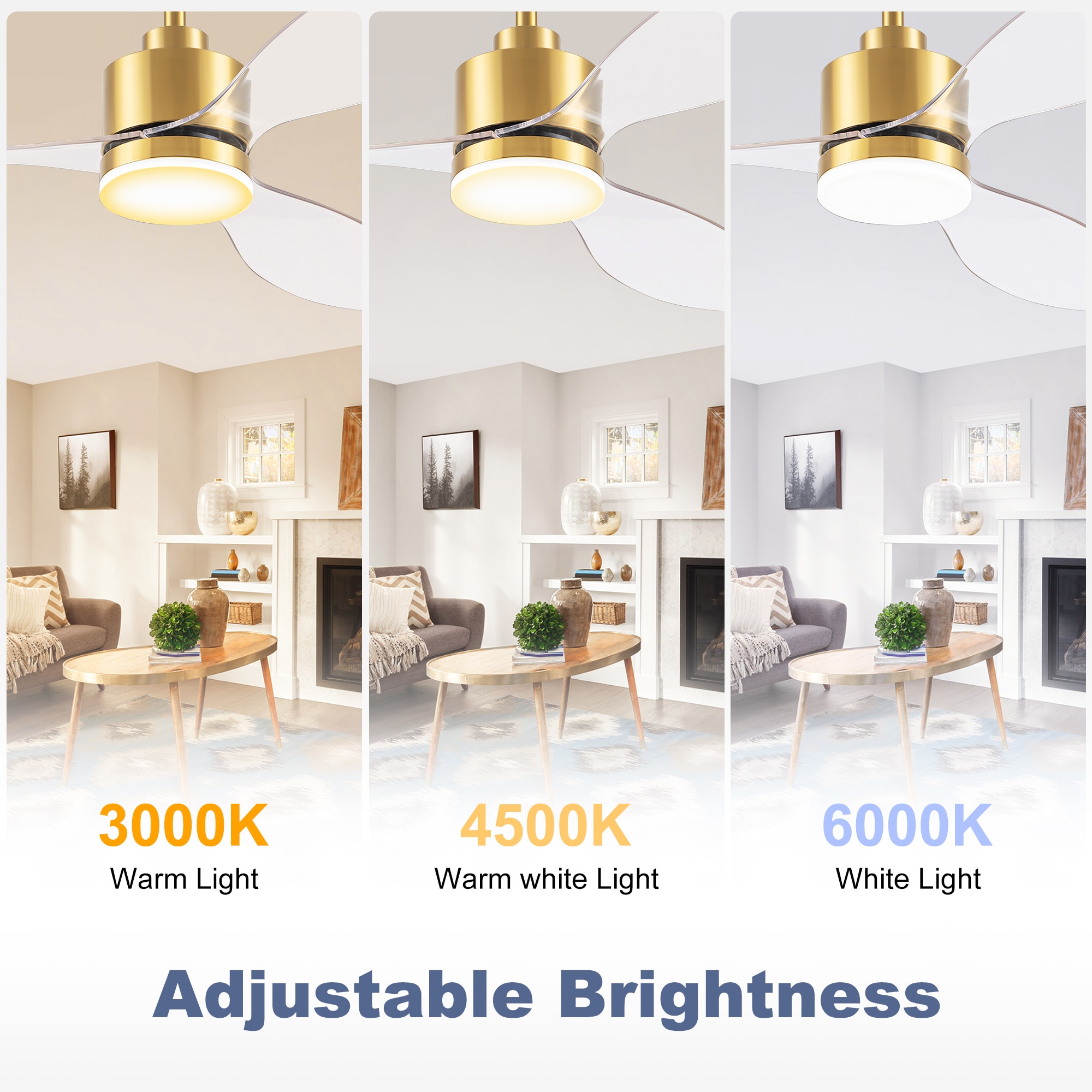 WindPhoto AS30007-GT-T Ceiling-Fans - View #4