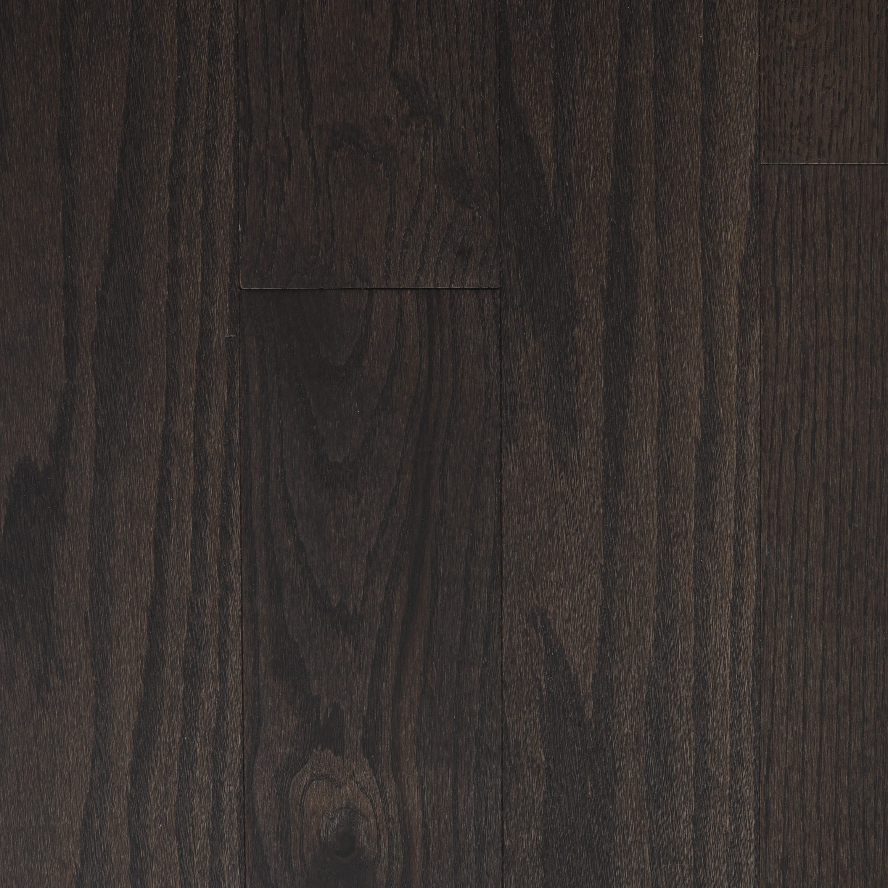 Green Leaf 24824 Mocha Oak 5-in W x 1/2-in T Smooth/Traditional Engineered Hardwood Flooring ( 39-sq ft / Carton )