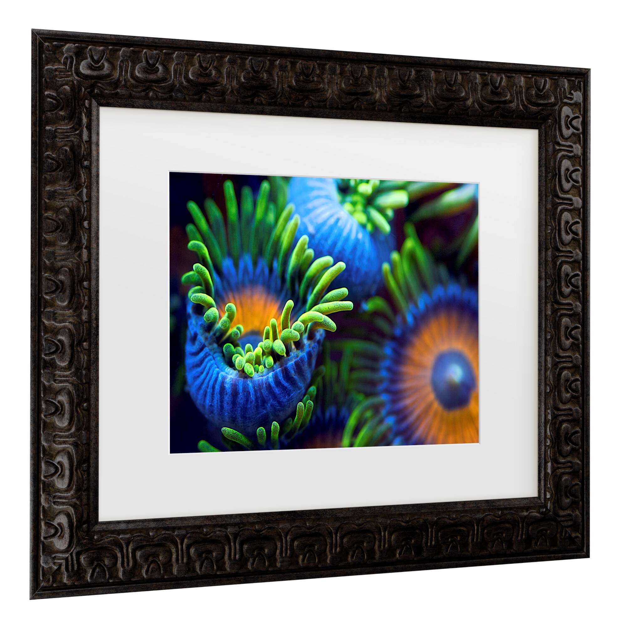 Trademark Fine Art 1X10263-DG1620MF Wall-Art - View #3