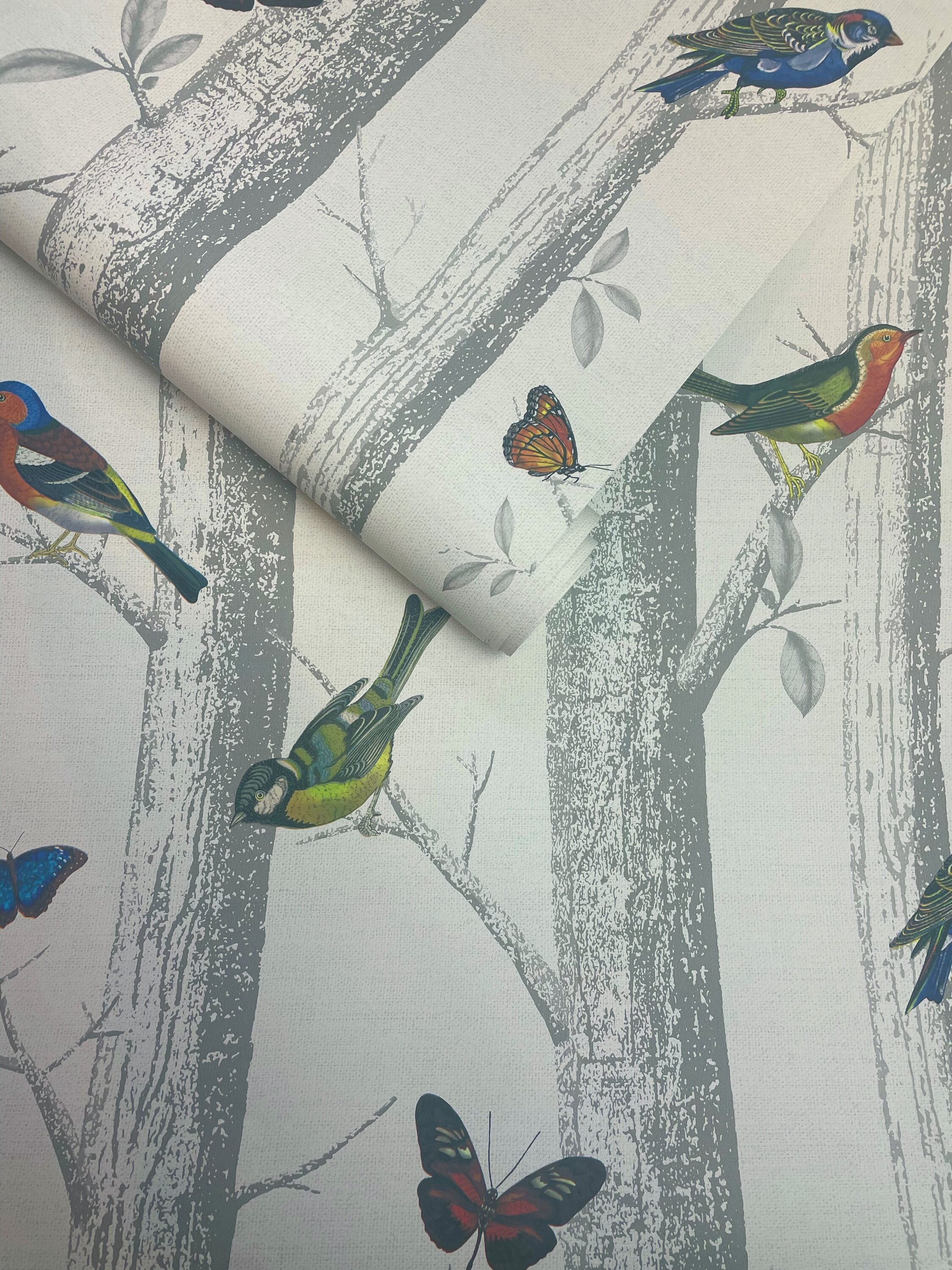 White and Gray Birds and Butterflies Wallpaper