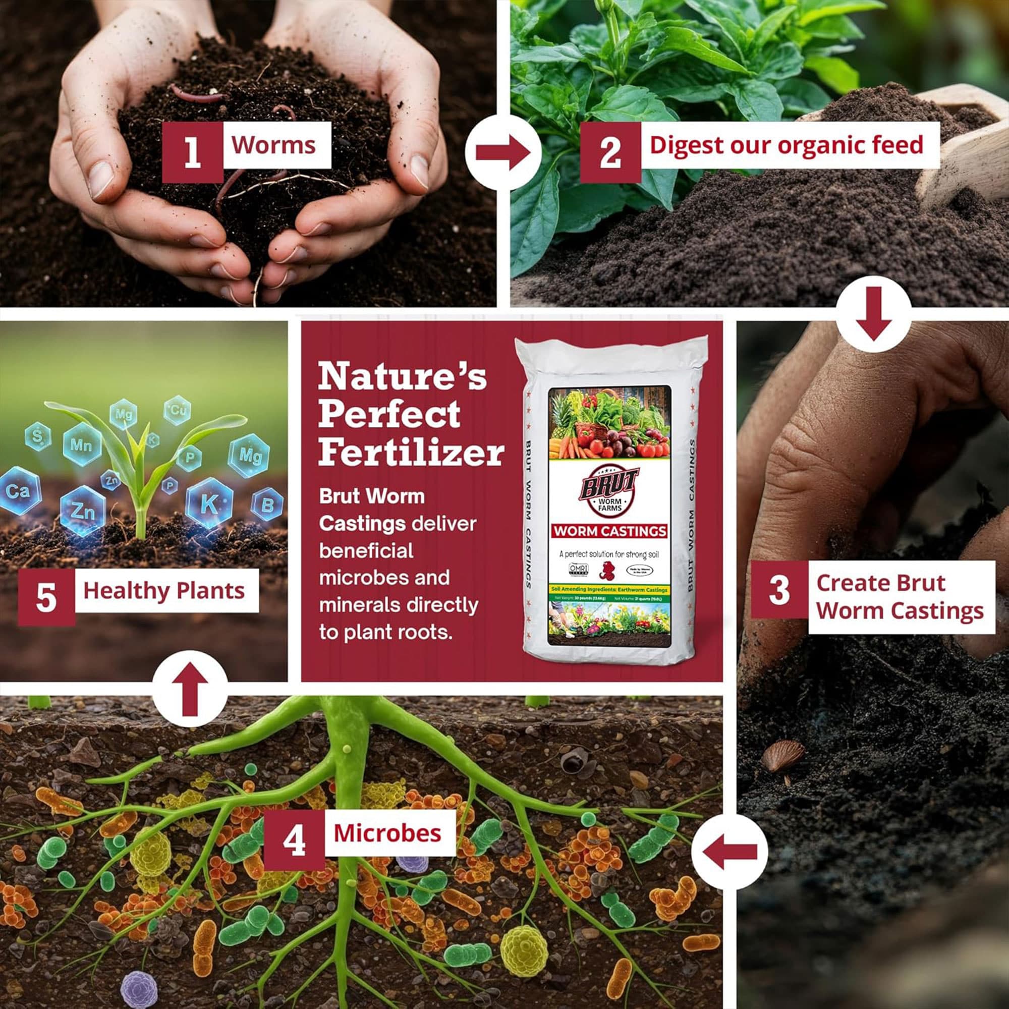 Brut Worm Farms 222900 Garden-Soil-Soil-Amendments - View #3