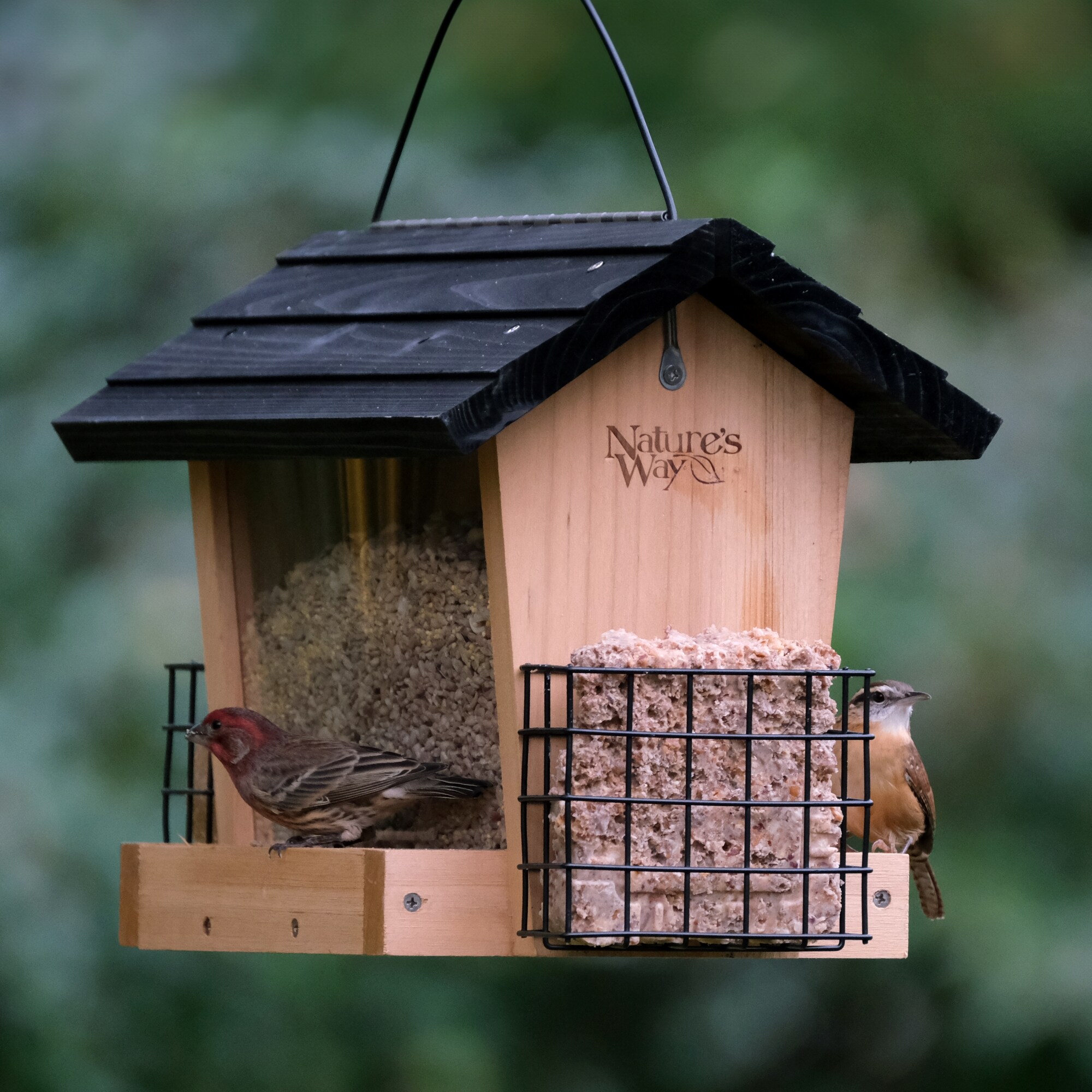 Nature's Way CWF19-CP1 Bird-Feeders - View #8