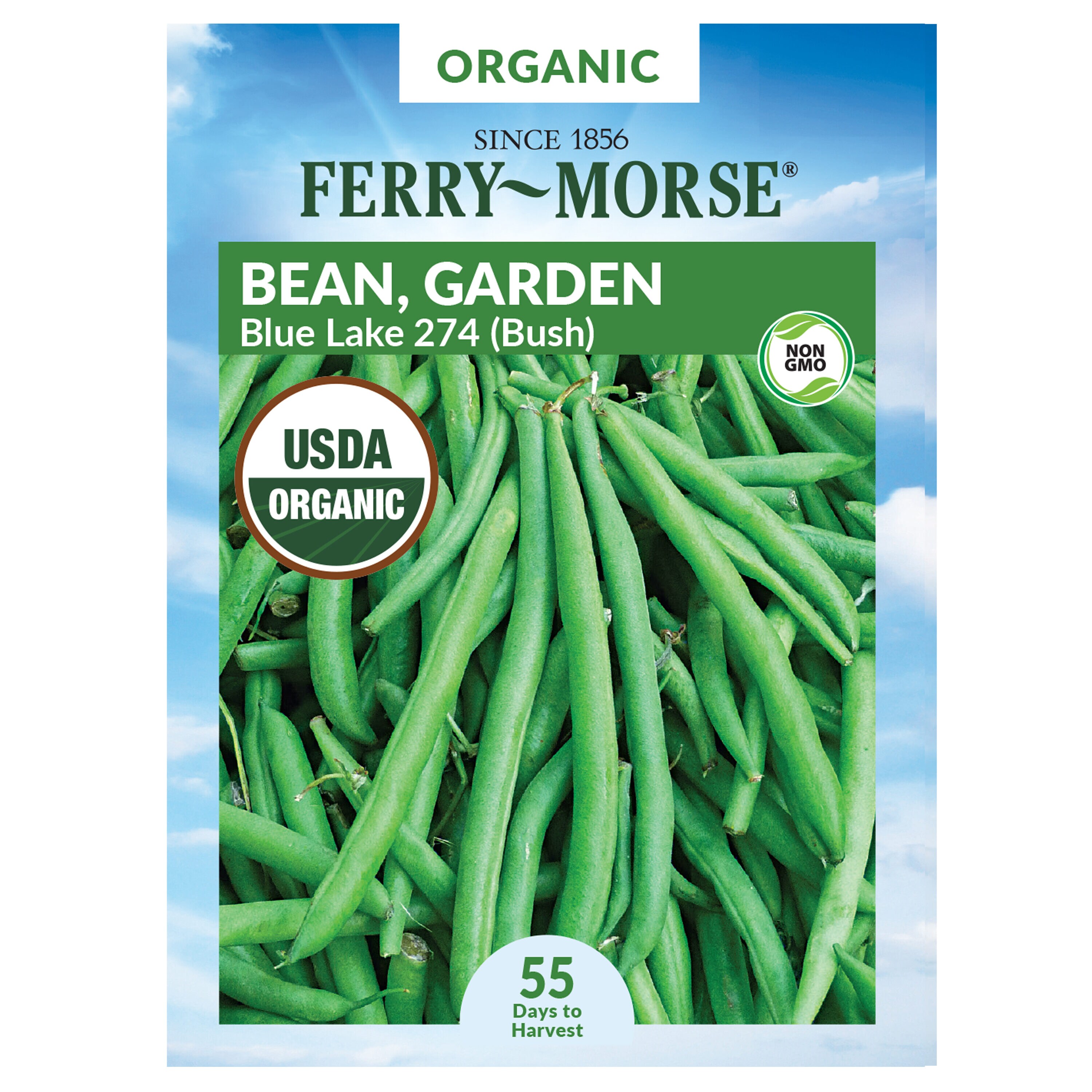 Ferry-Morse Organic Bean Lake 274 Blue Lake Organic Vegetable Seeds 12 ...