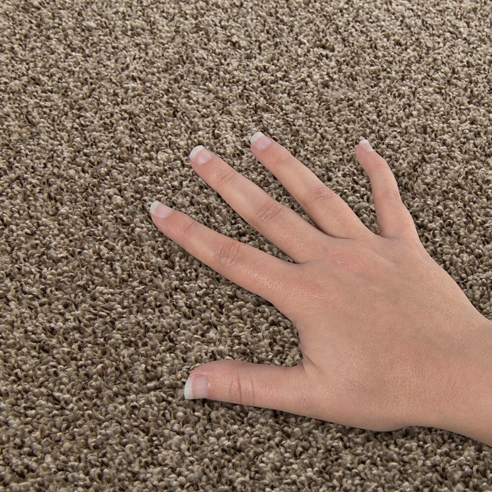 Style Selections SS016-L004-0808 Carpet-Samples - View #4