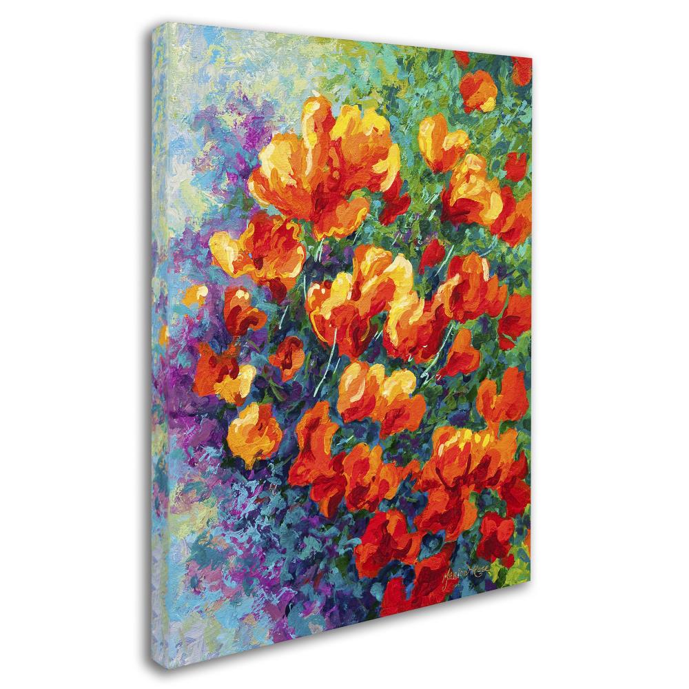 Trademark Fine Art Framed 24-in H x 18-in W Floral Print on Canvas in ...