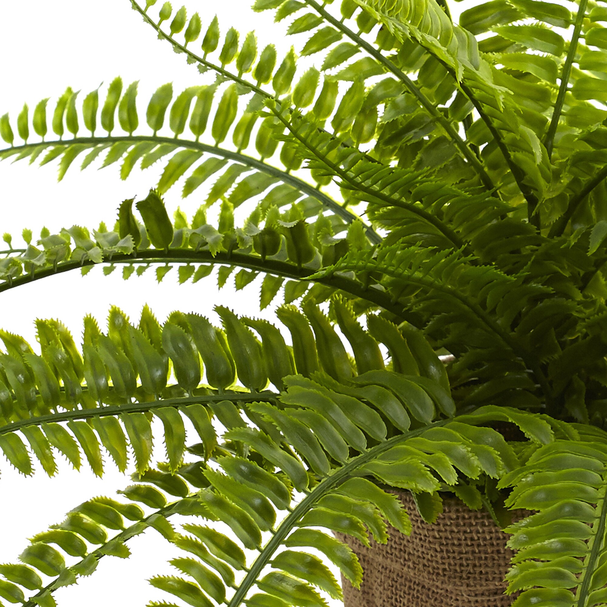 Nearly Natural 15-in Green Indoor Fern Artificial Plant in the ...