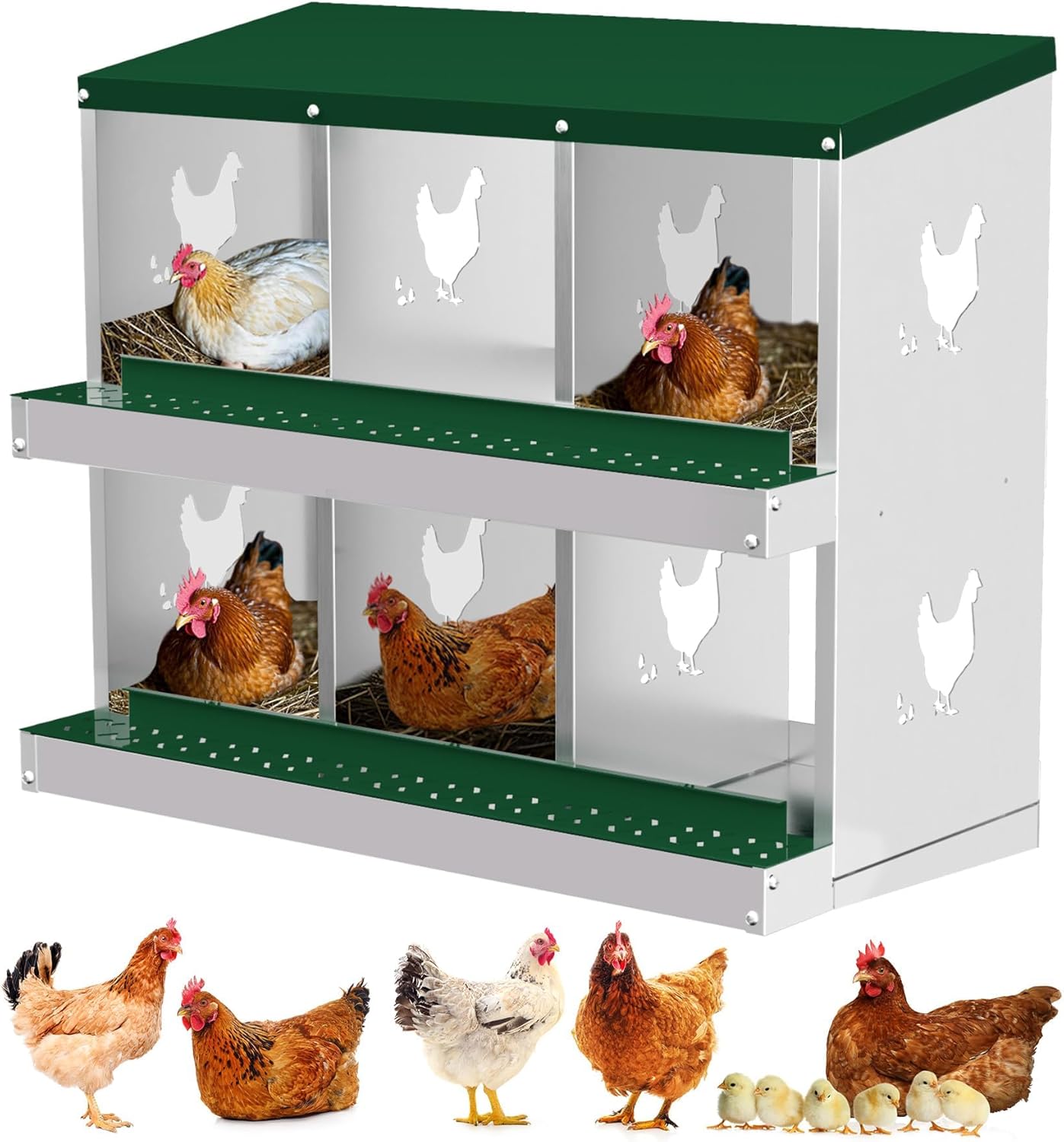 Qeetex WLS-PHO-348SBN54 Nesting Boxes for Chickens 6 Compartment Chicken Nesting Box Metal Chicken Laying Boxes with Perch Secure Lid Versatile Wall Mount or Free Standing for Hens