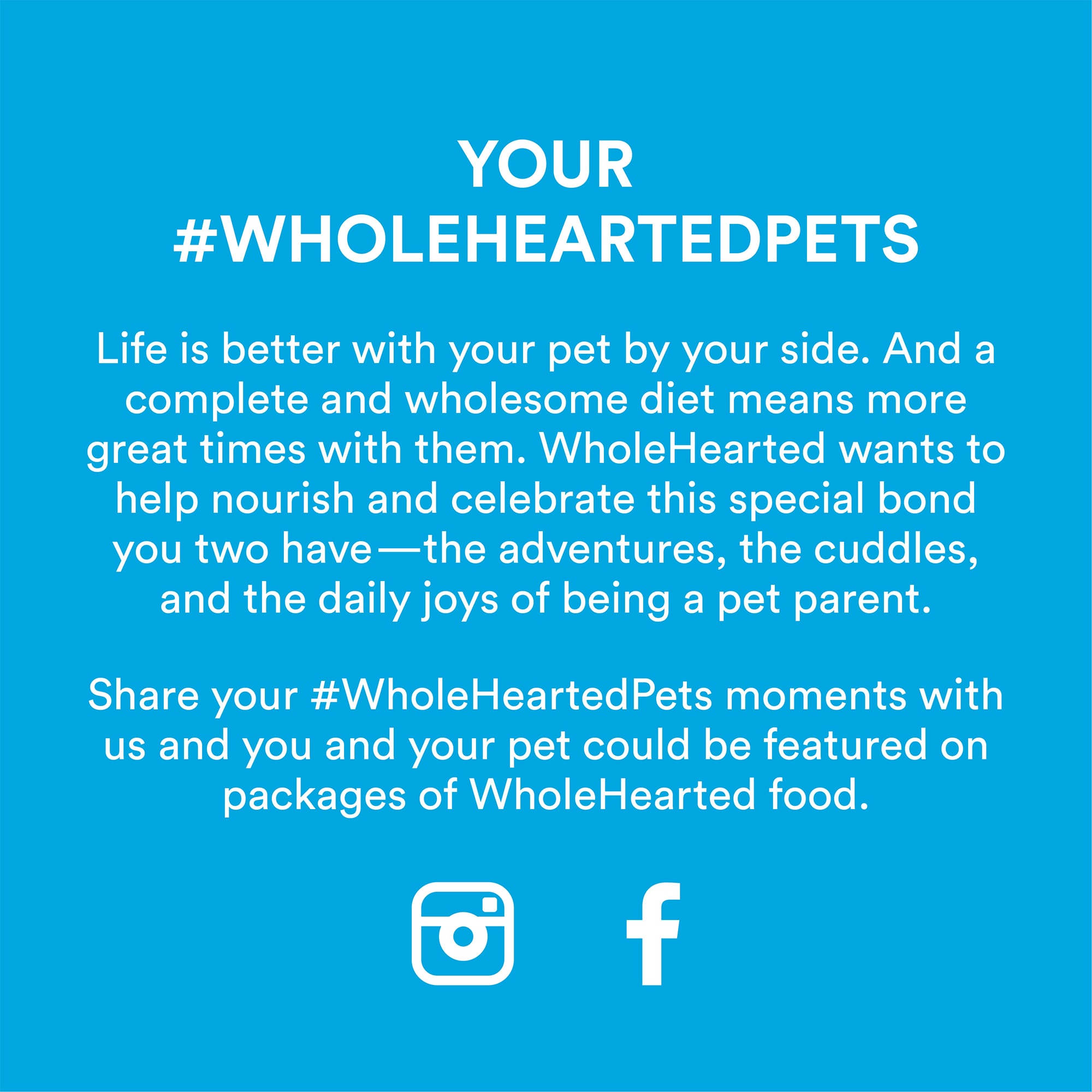 WholeHearted 3154574 Wet-Dog-Food - View #8