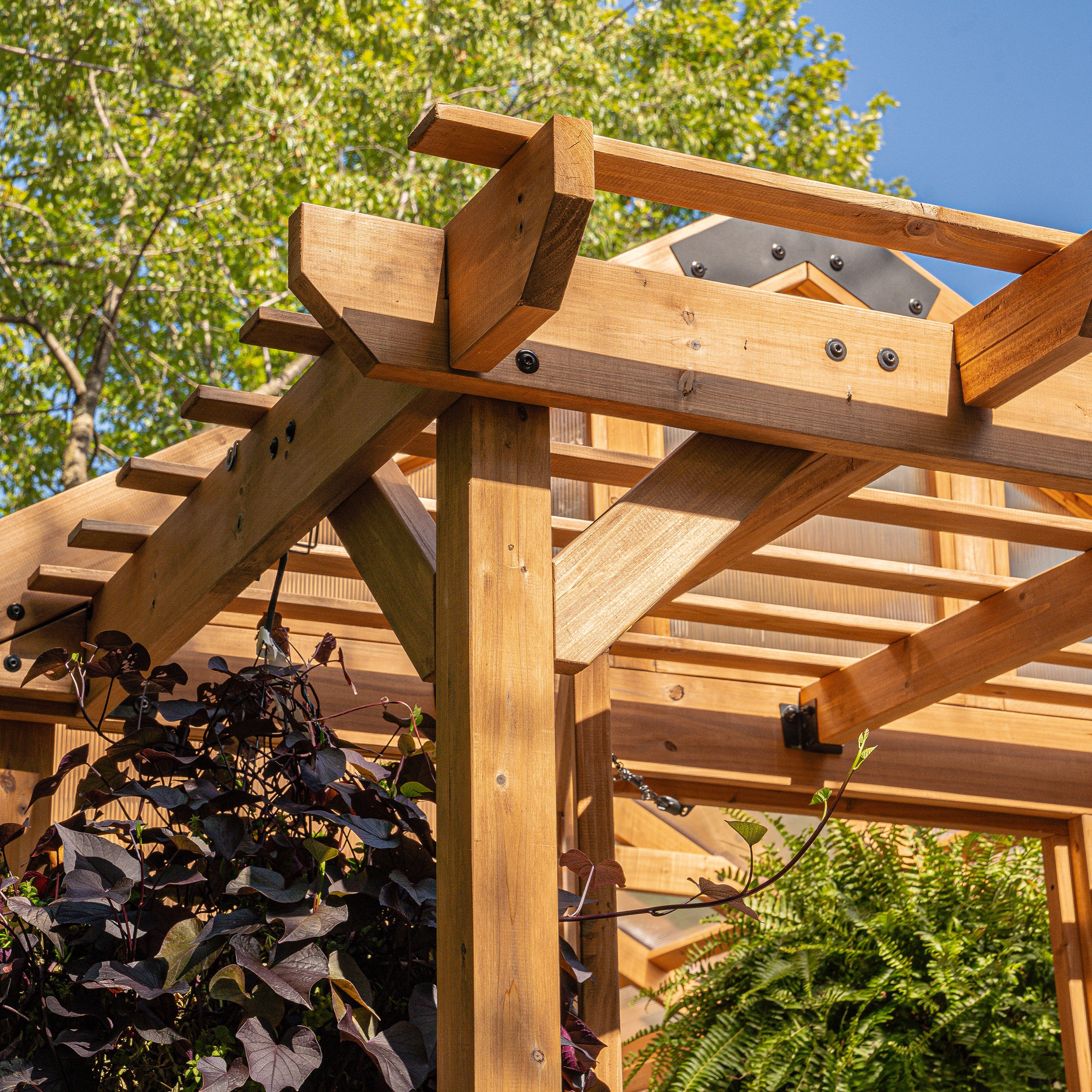Backyard Discovery 11 x 7 Cedar and Polycarbonate Greenhouse