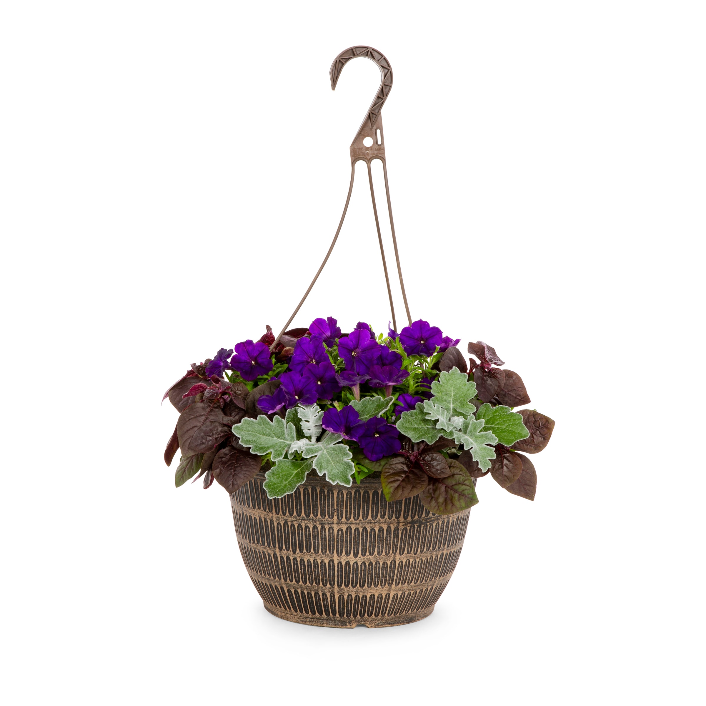 Lowe's Multicolor Mixed Annuals Combinations in 2-Gallon Hanging Basket ...