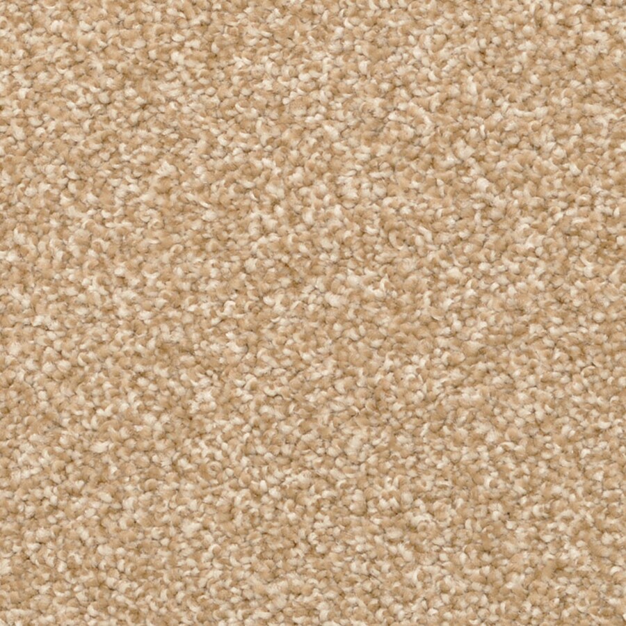 STAINMASTER S796422FREEPORT-0224 (Sample) PetProtect Excursion Freeport Shag/Frieze Carpet
