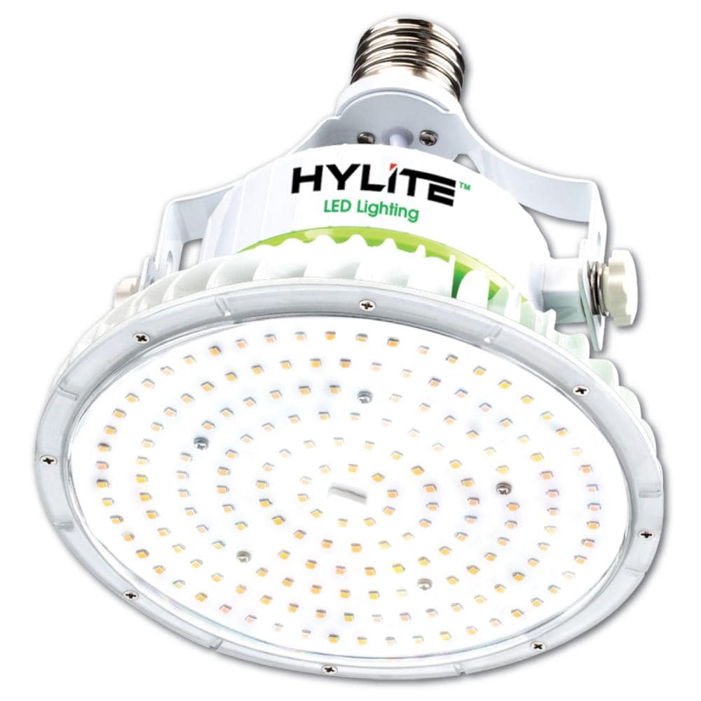 HyLite LED HL-LS-80W-E39-50K