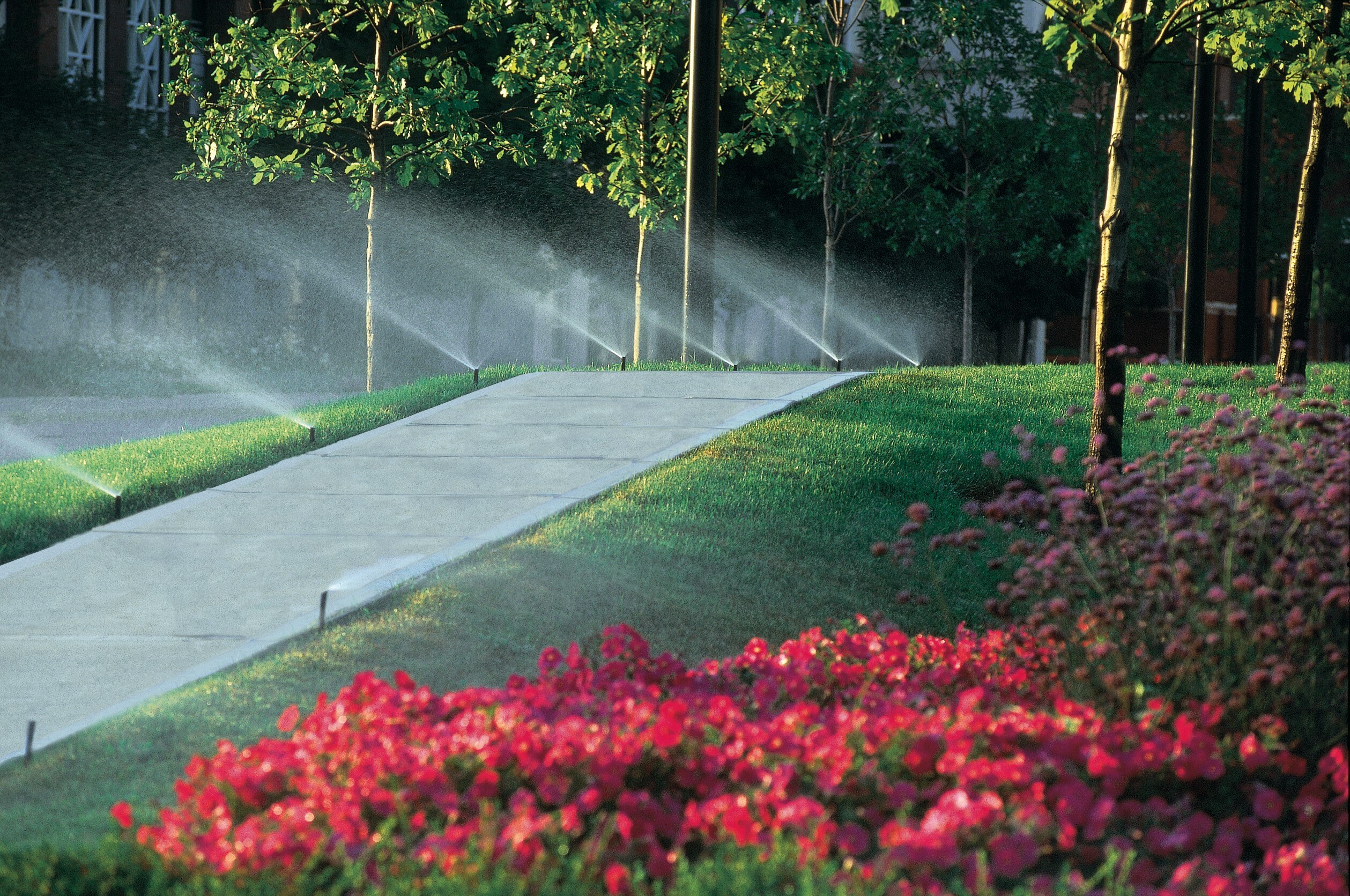 Rain Bird 1804LNPRS Underground-Sprinklers - View #5