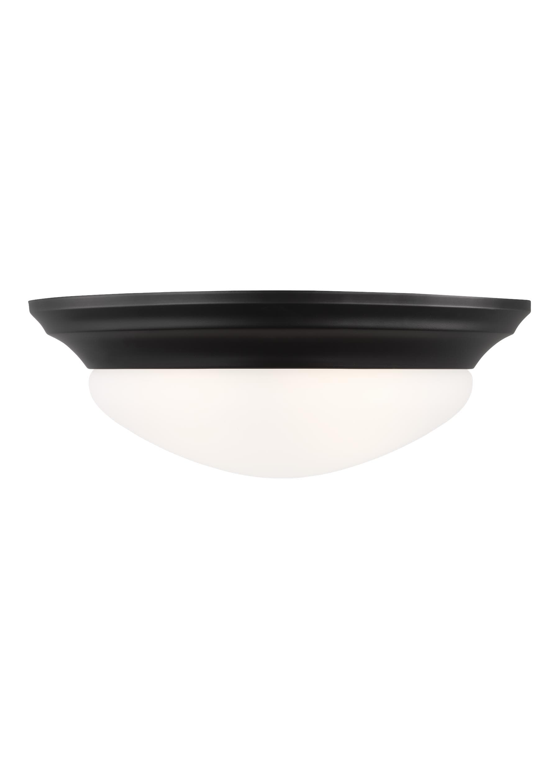 Generation Lighting 75435EN3-112 Nash 2 -Light 14-in Multiple finishes Black Flush Mount Light ENERGY STAR Certified