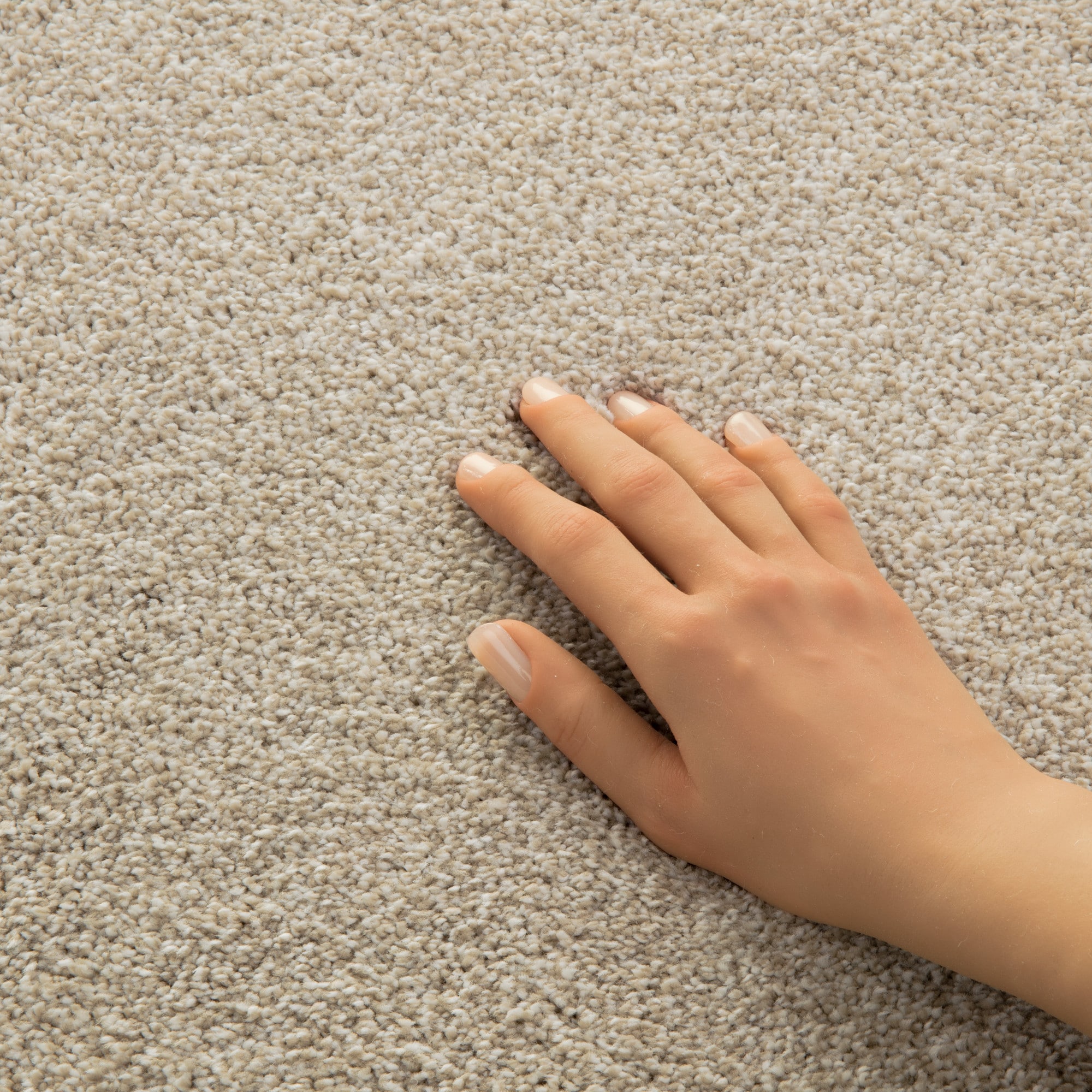 STAINMASTER PetProtect 7L92900139 Carpet-Panel - View #9