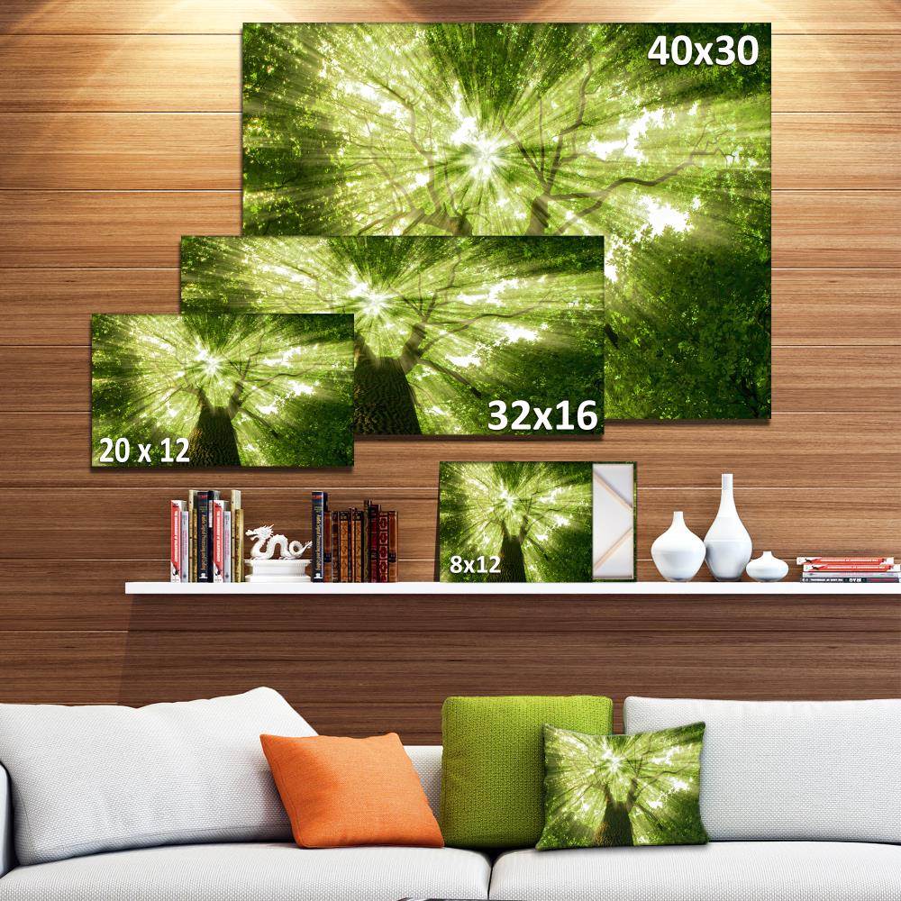 Designart 12-in H x 20-in W Landscape Print on Canvas at Lowes.com