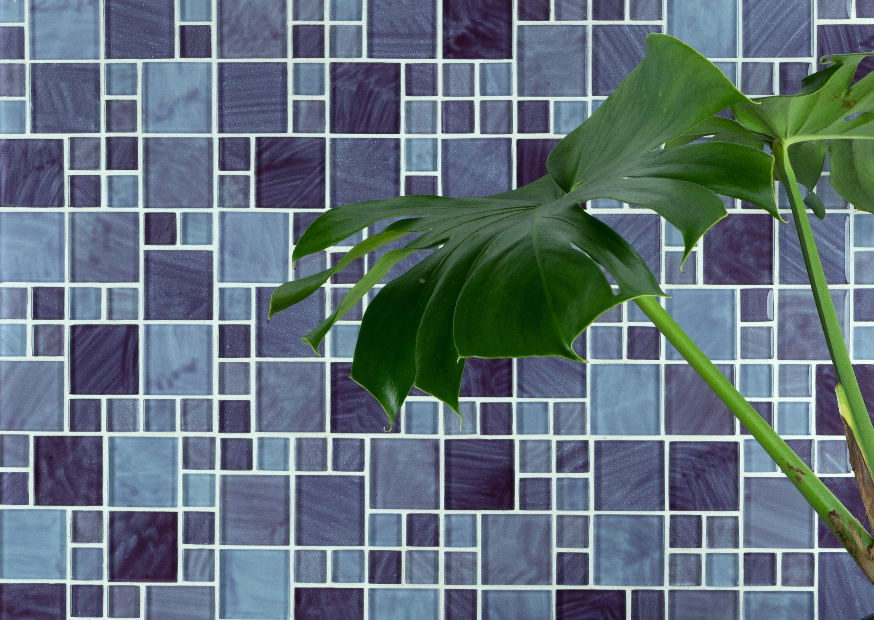 WS Tiles WST-IJ15 Ceramic-Tile - View #4