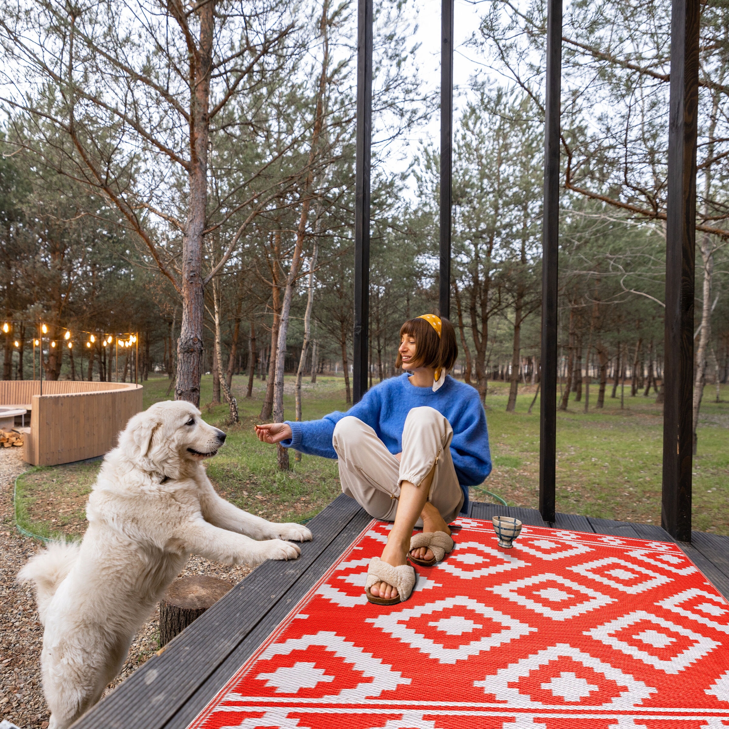 Playa Rug PLY-R-MLN-OW-4X6 rugs - View #4