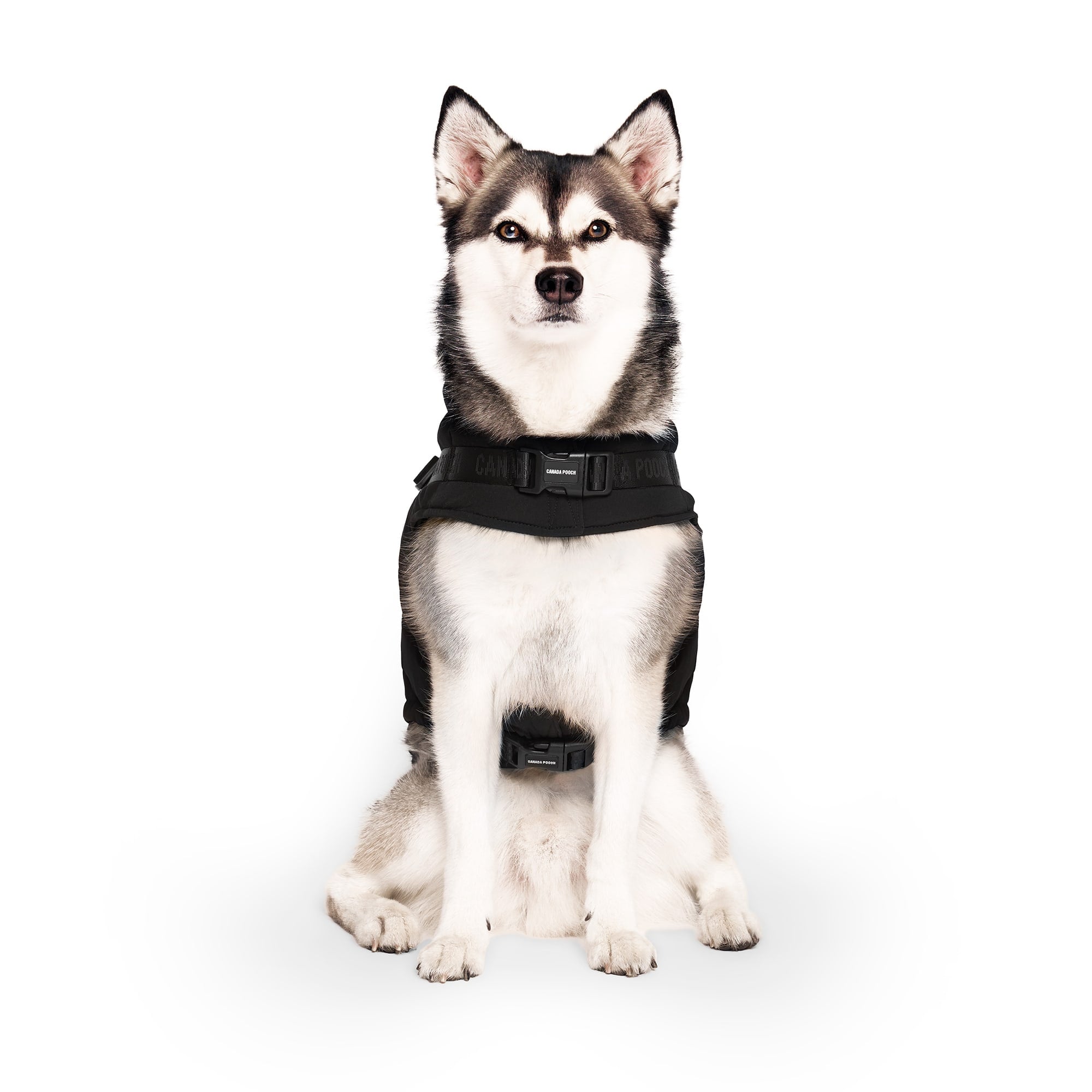 Canada Pooch 11608 Dog-Clothing-Acc - View #2