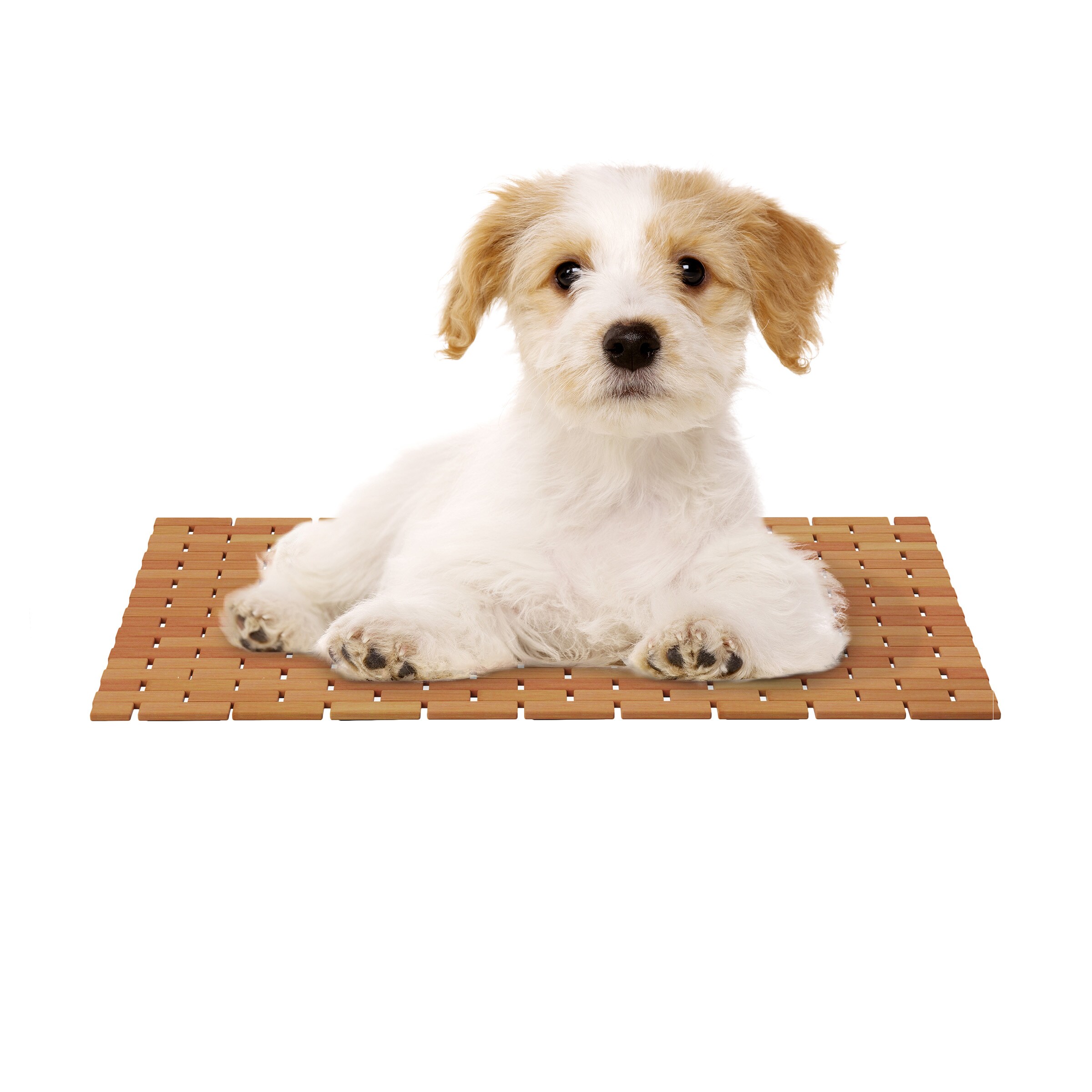 1pc Bathroom Rugs, White Cat Dog Cute Bath Mat, Soft Absorbent Non-Slip  Mats, Floor Rug Machine-Washable For Kitchen Bathroom (Fly Dog,  55.12''*23.62