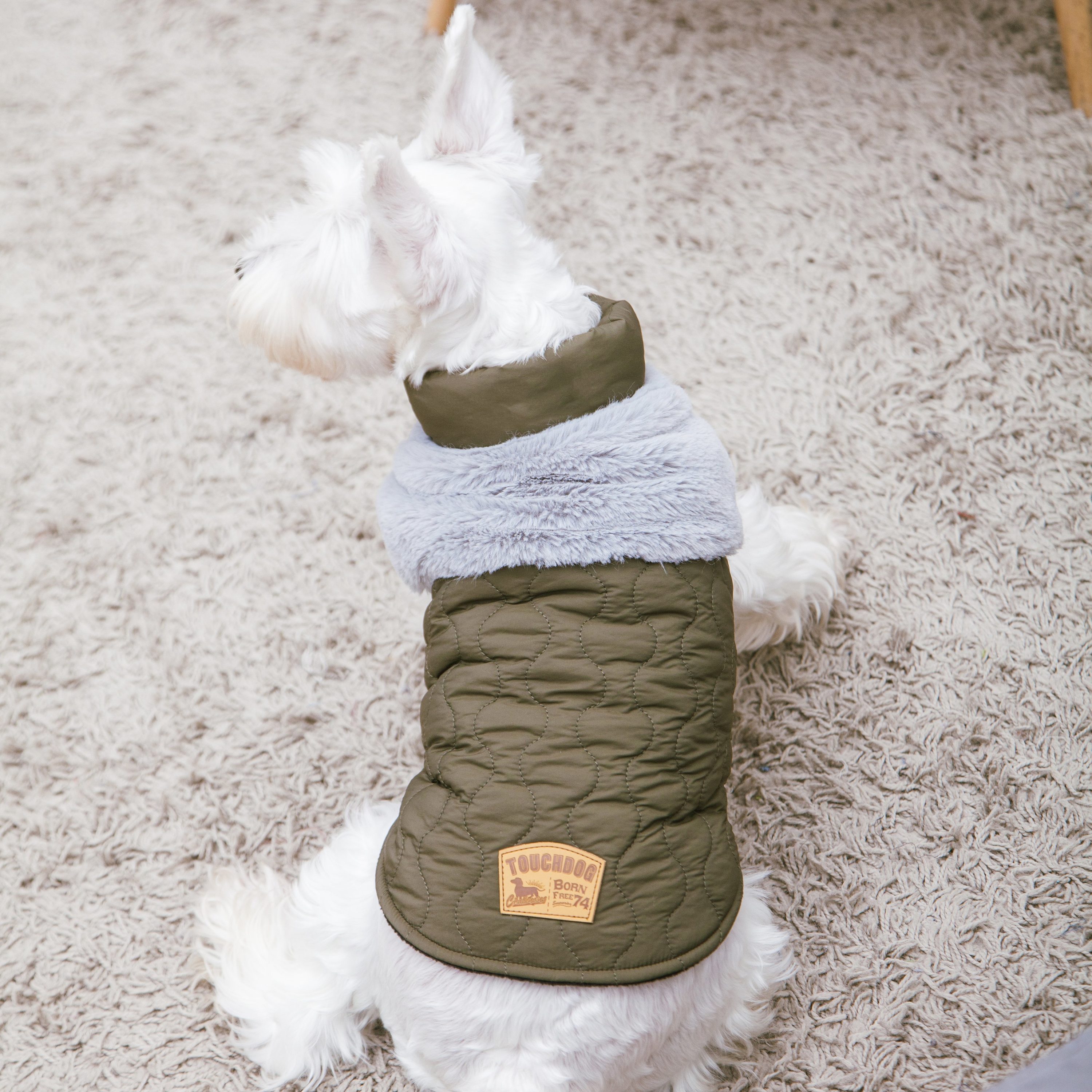 Touchdog JKTD14GNXL Dog-Apparel - View #6