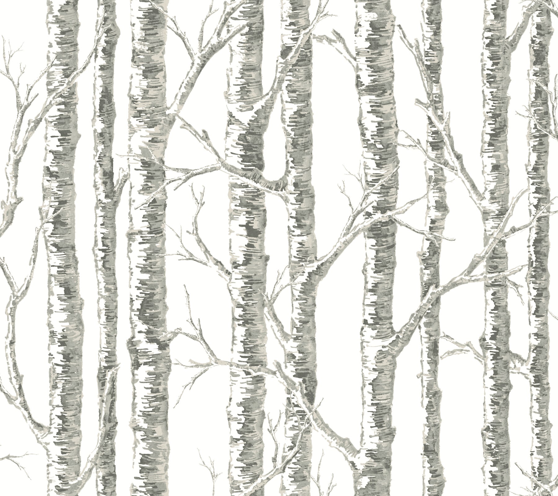 York Wallcoverings BW3901 Black and White Resource Library 60.8-Sq. Feet White Non-woven Ivy/Vines Prepasted Water Activated Paste Wallpaper