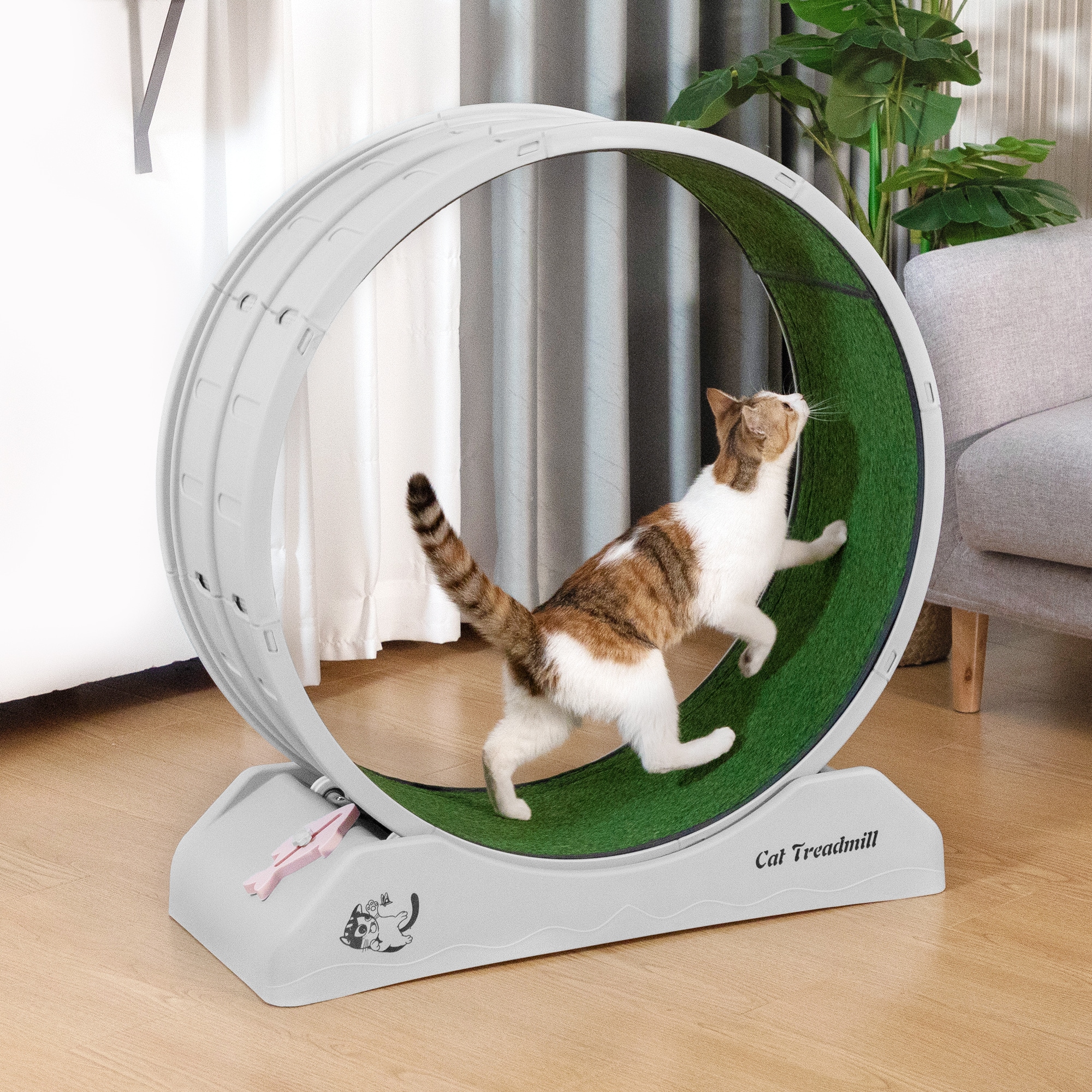 Gray and Green Freestanding Plastic Cat Exercise Wheel