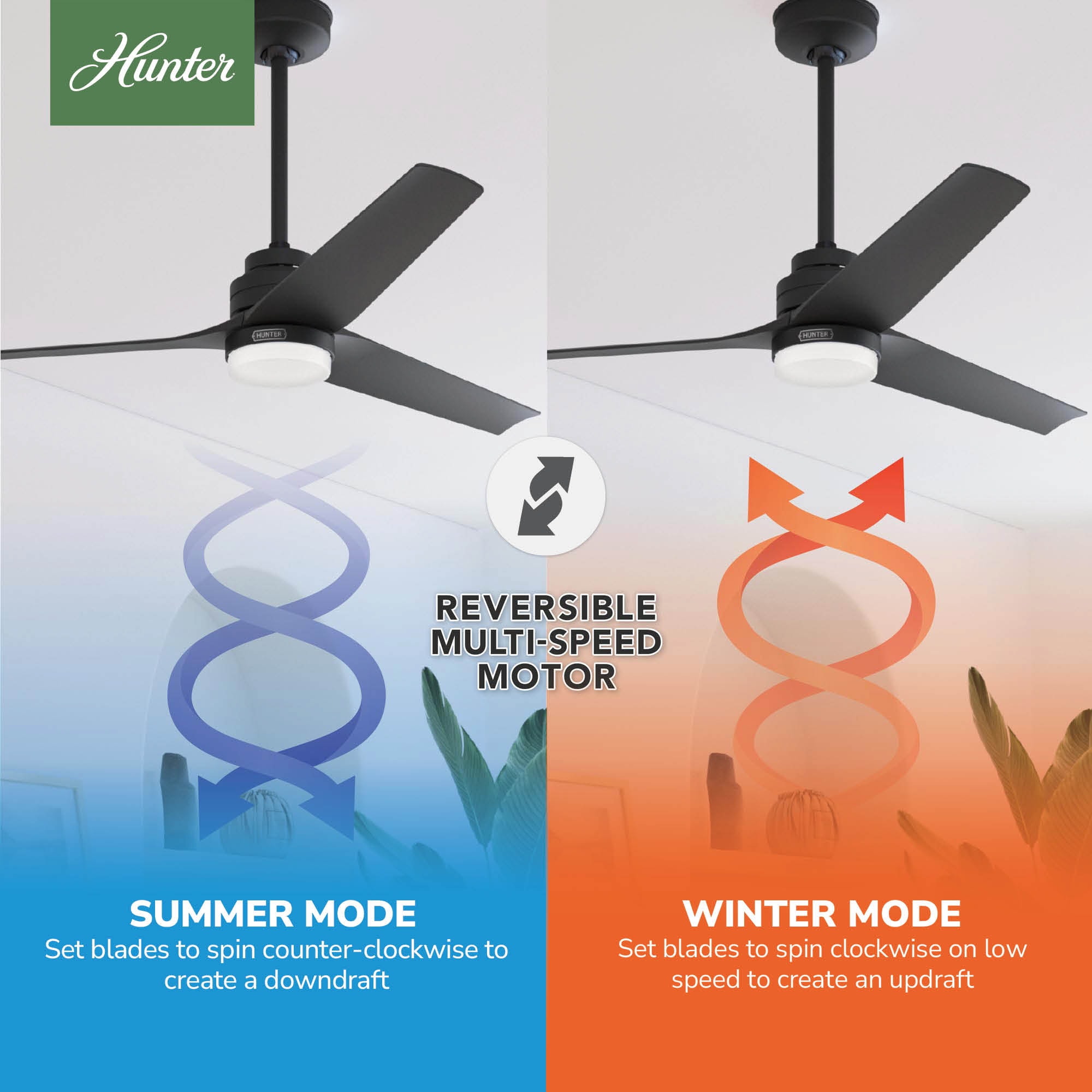 Hunter 52360 Ceiling-Fans - View #7