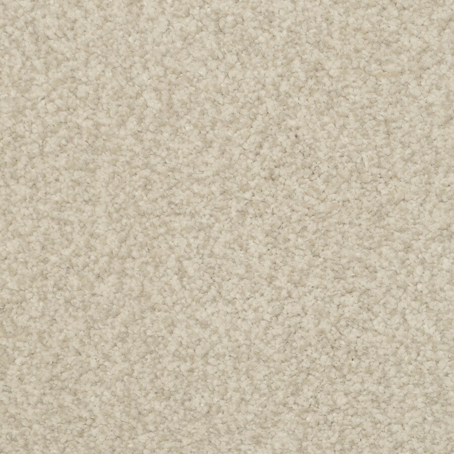 STAINMASTER 4593-126 Signature Fiesta Plover Textured Indoor Carpet