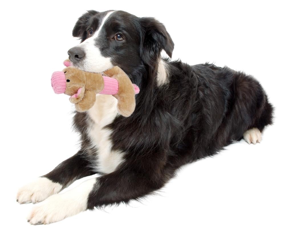 Pet Life DT30PK Dog-Toys - View #4