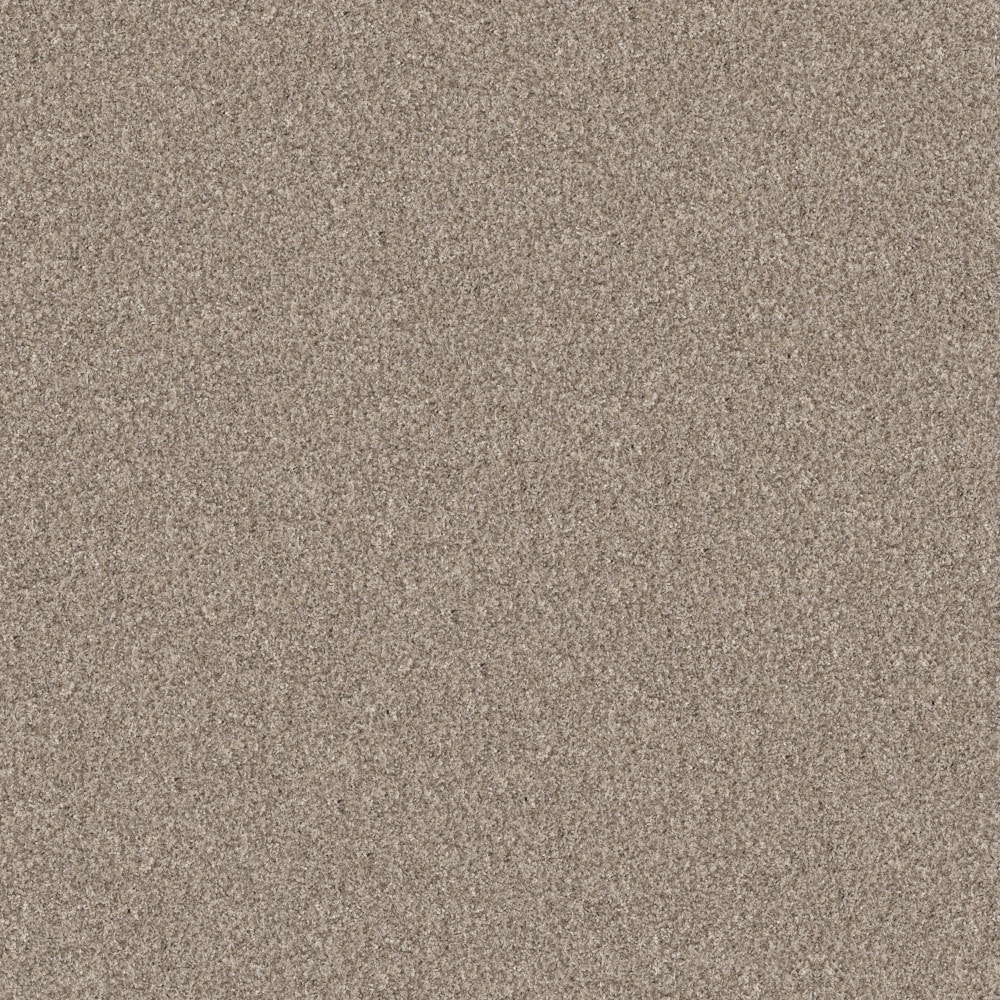 STAINMASTER 7L949-109-SAMP (Sample) 8-in x 8-in Pleasant Surprise I Natural Brown 43.9-oz sq yard High-performance polyester Textured Indoor Carpet