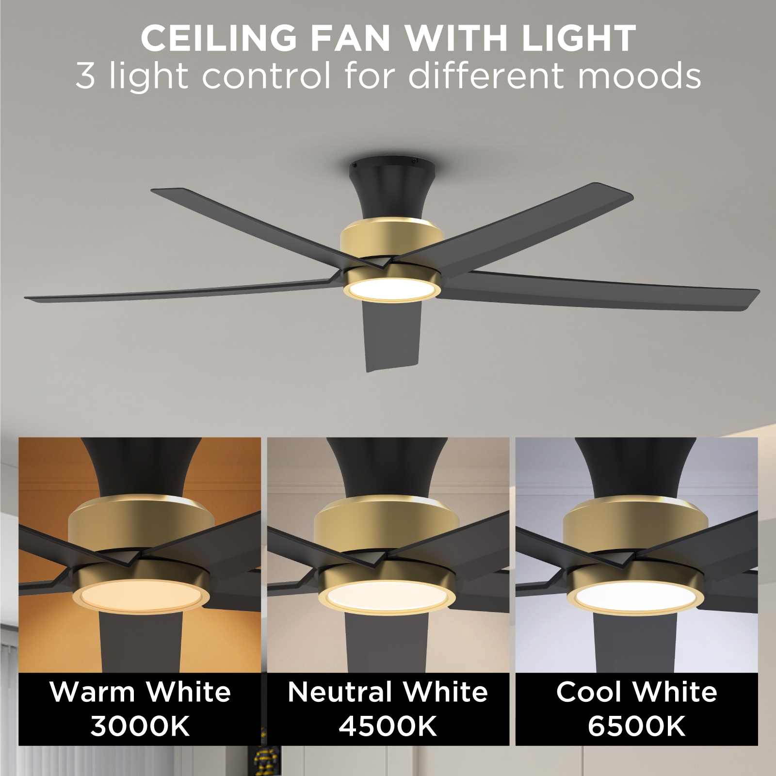 TALOYA TLY-WF-BG-X52 Ceiling-Fans - View #3